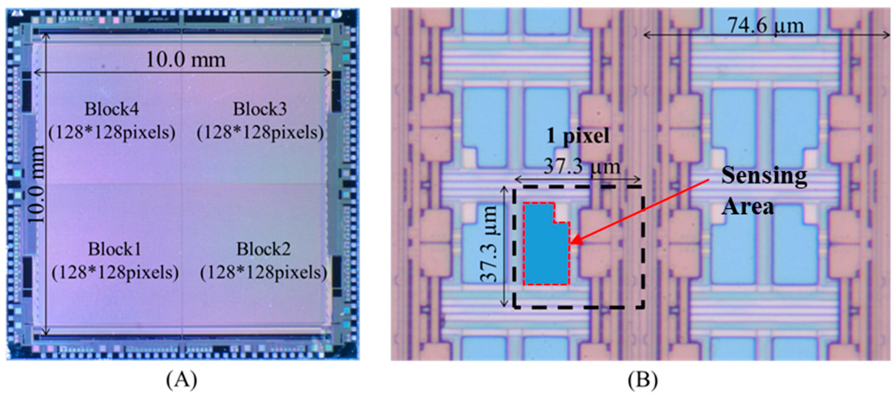 Sensors 19 01582 g004