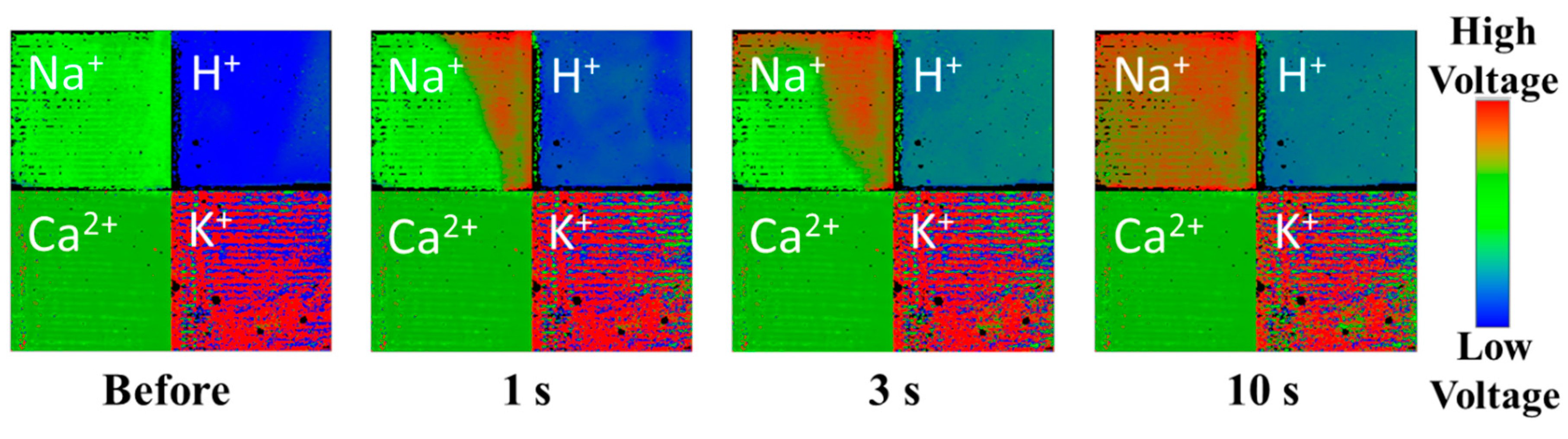 Sensors 19 01582 g007