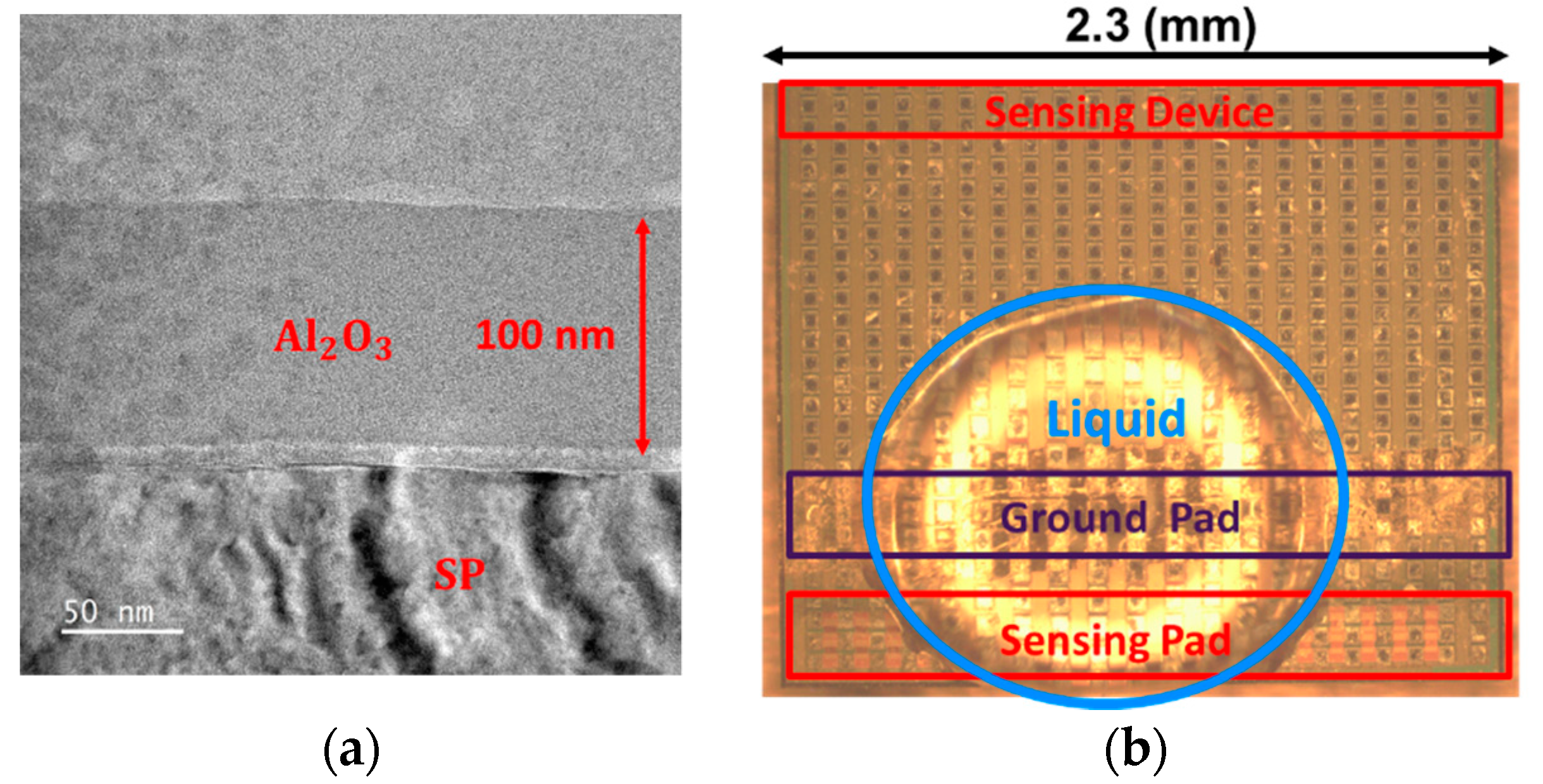 Sensors 19 01585 g005 Sensors 19 01585 g005