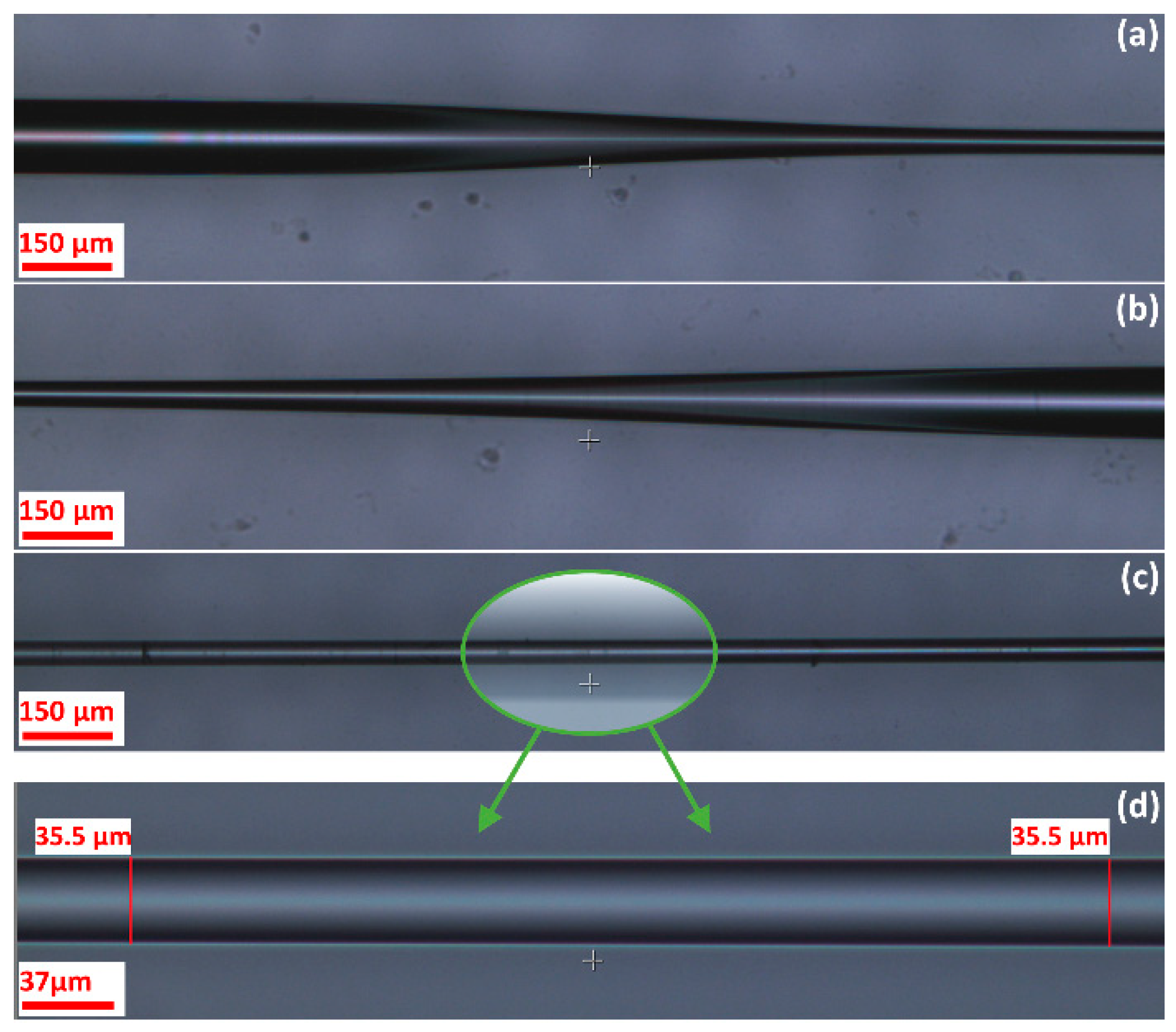 Sensors 19 01652 g004
