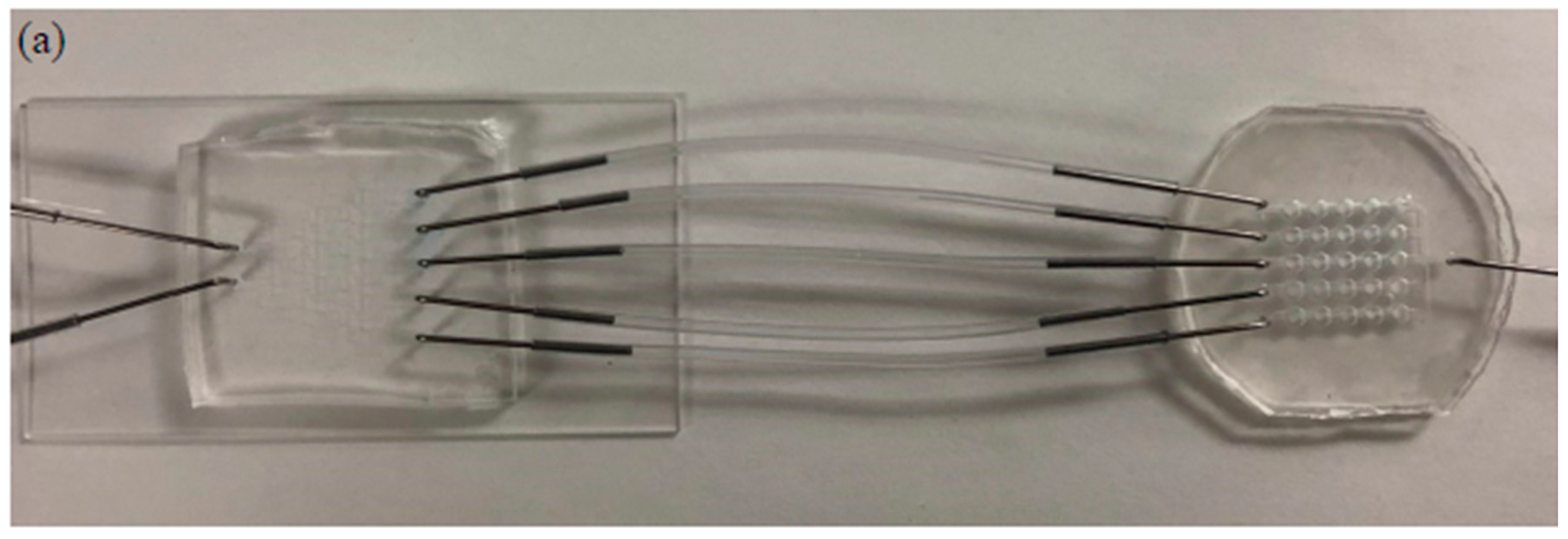 Sensors 19 01663 g003a