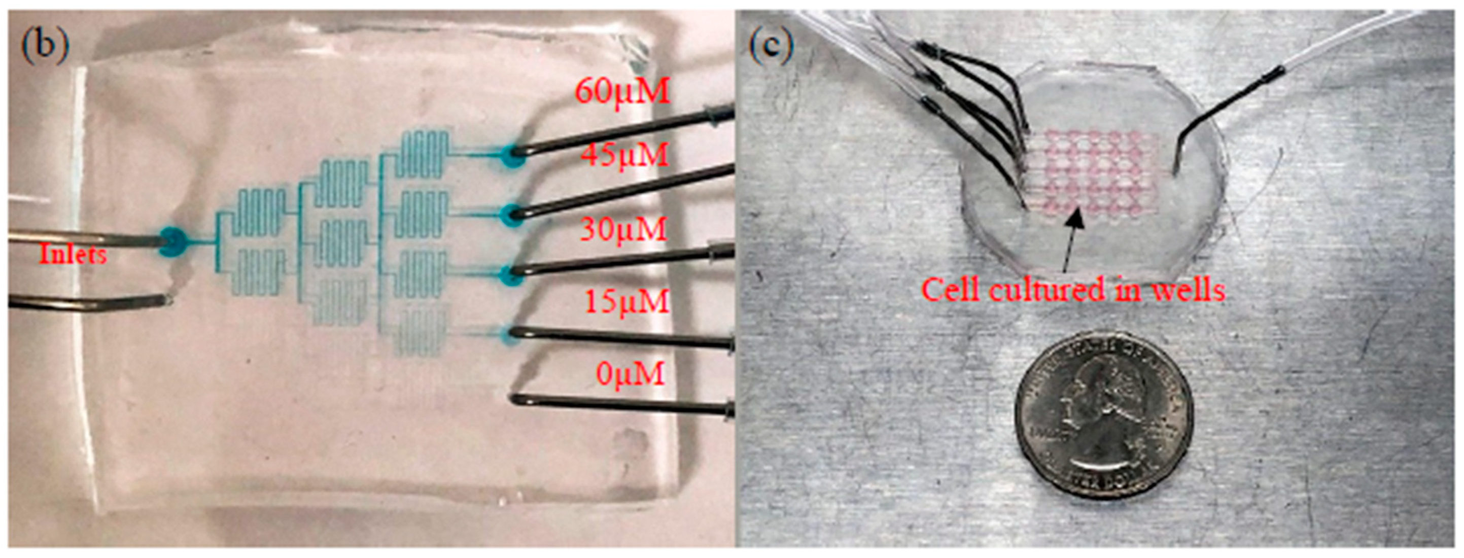 Sensors 19 01663 g003b