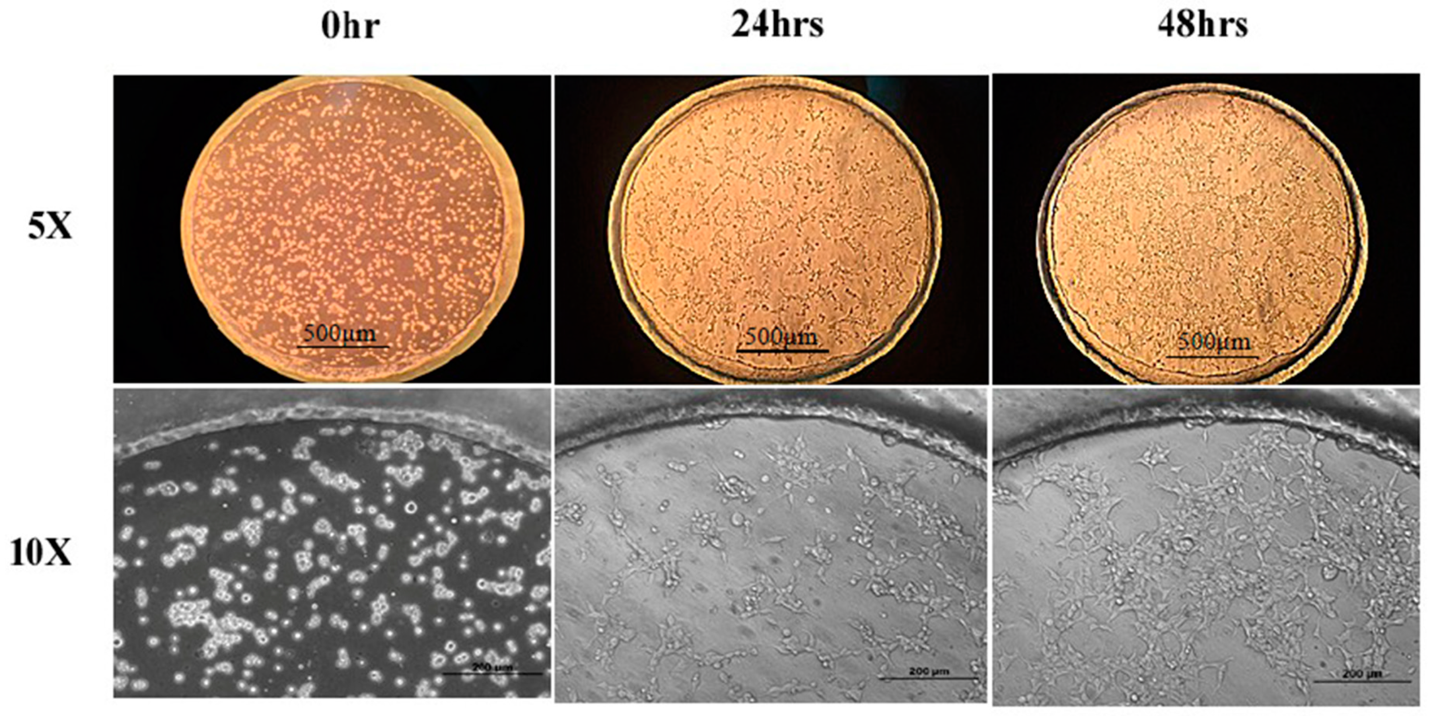 Sensors 19 01663 g004