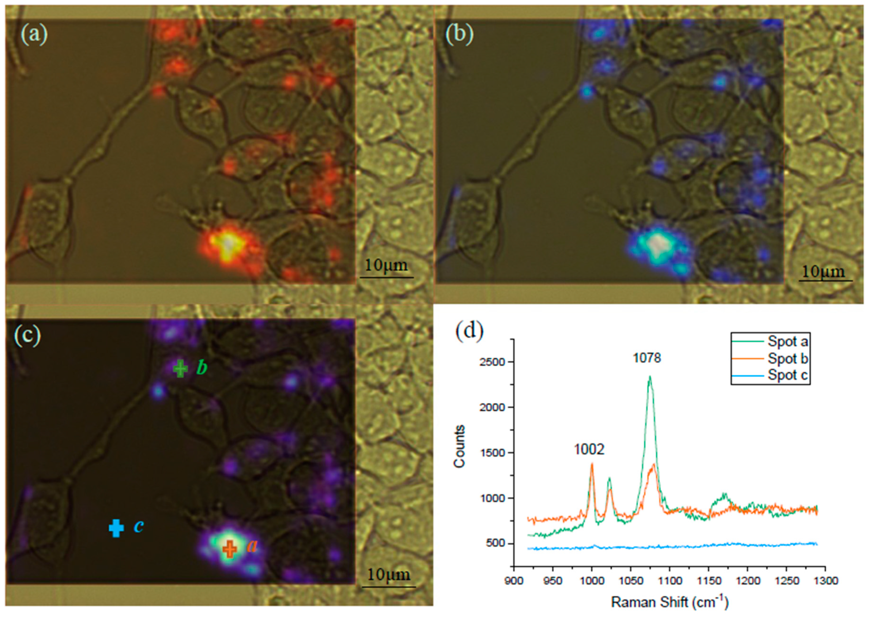Sensors 19 01663 g007