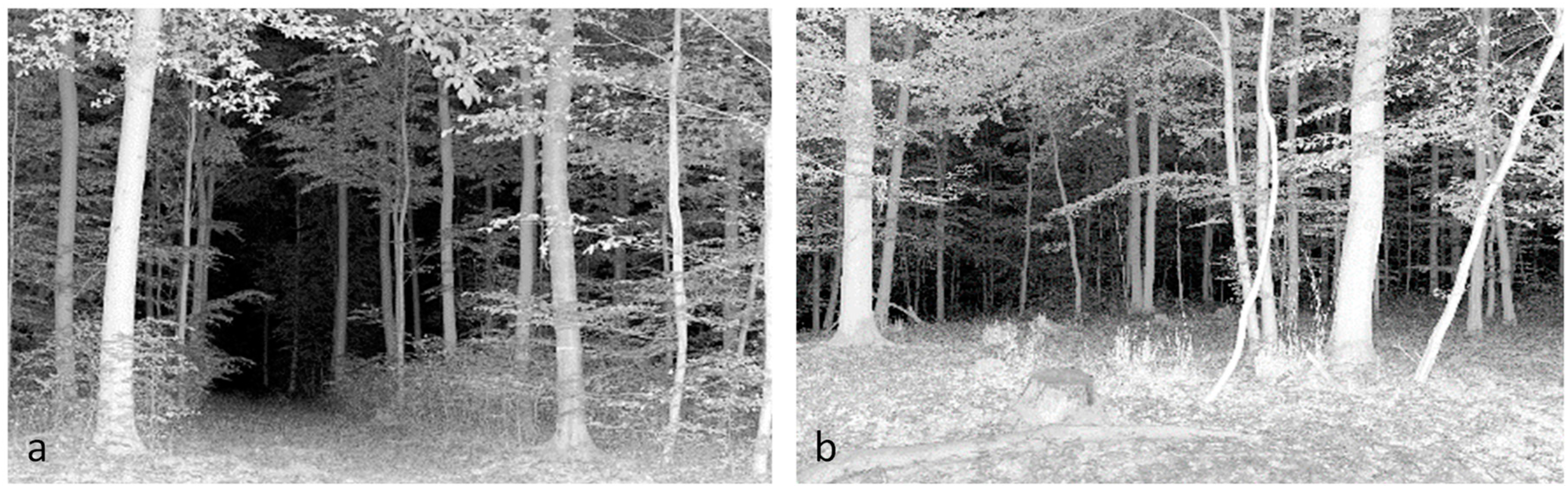 Sensors 19 01684 g003