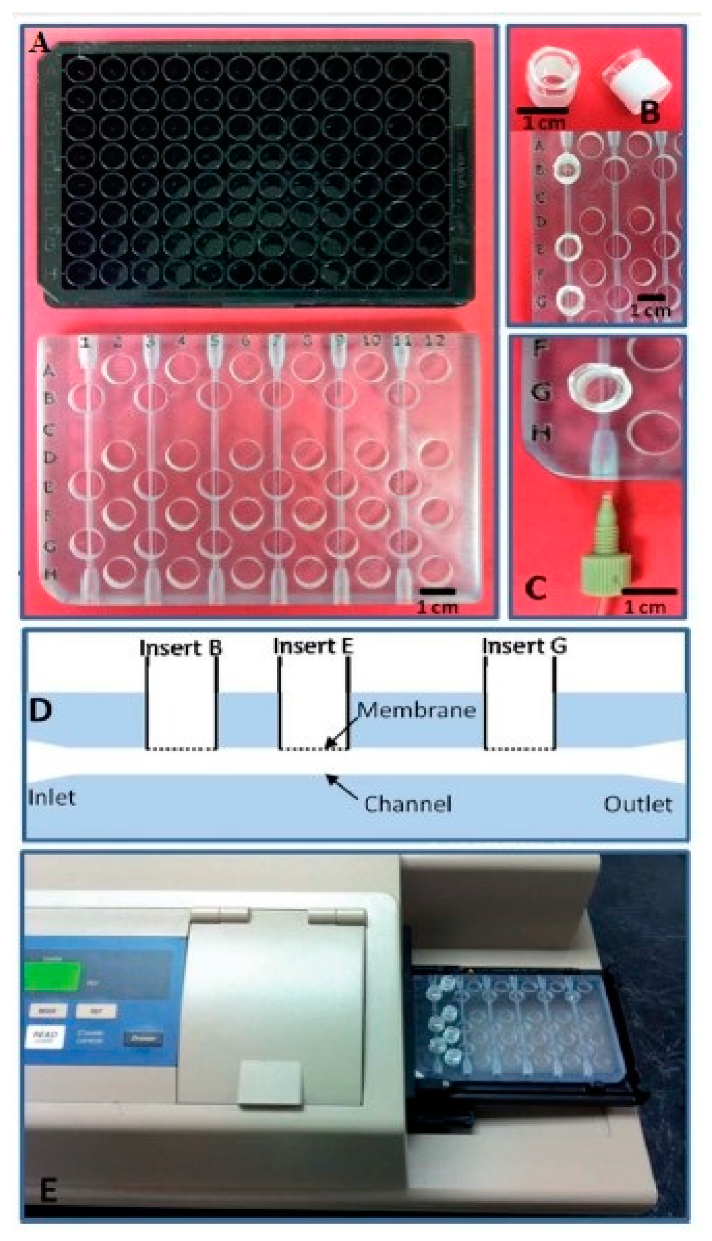 Sensors 19 01706 g004