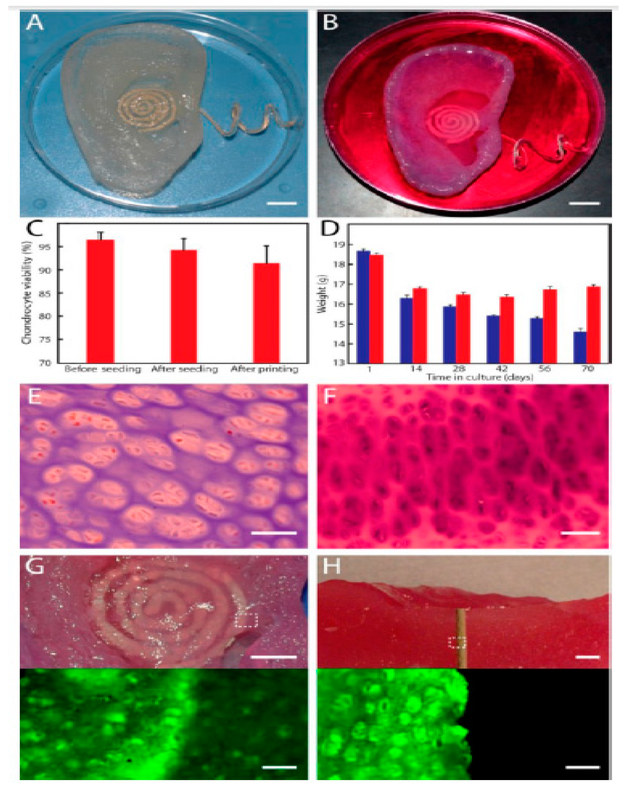 Sensors 19 01706 g006