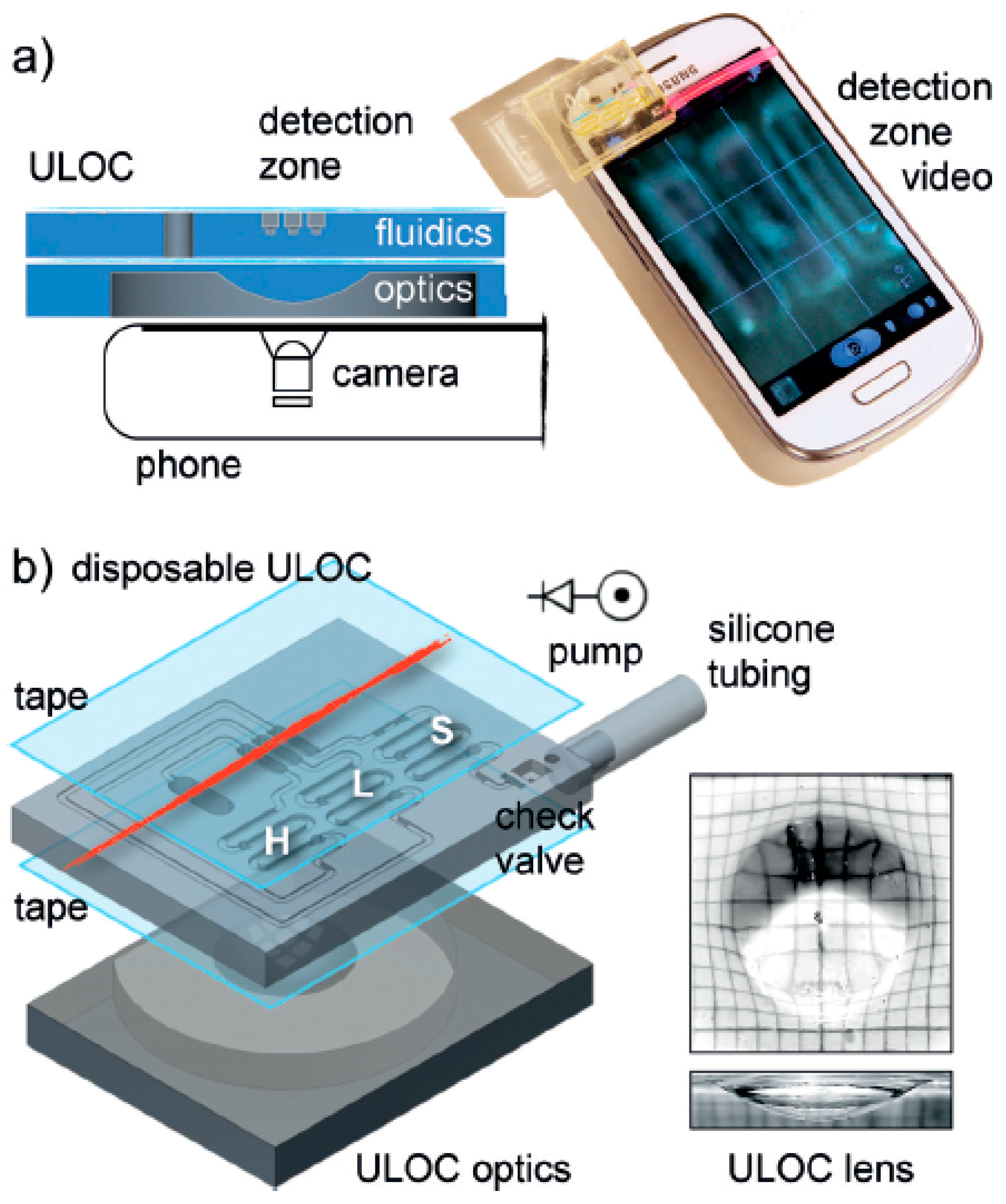 Sensors 19 01706 g007