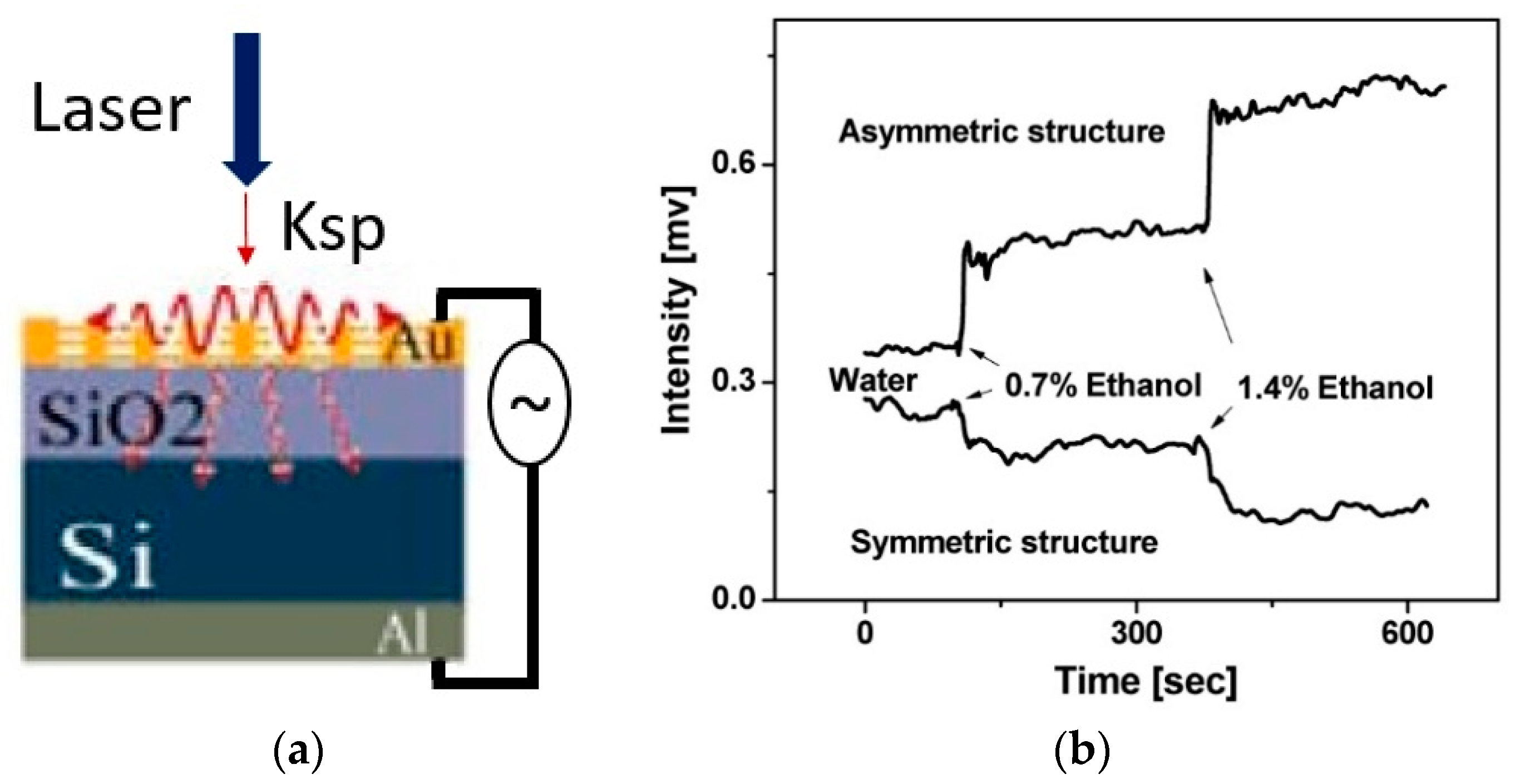 Sensors 19 01715 g007