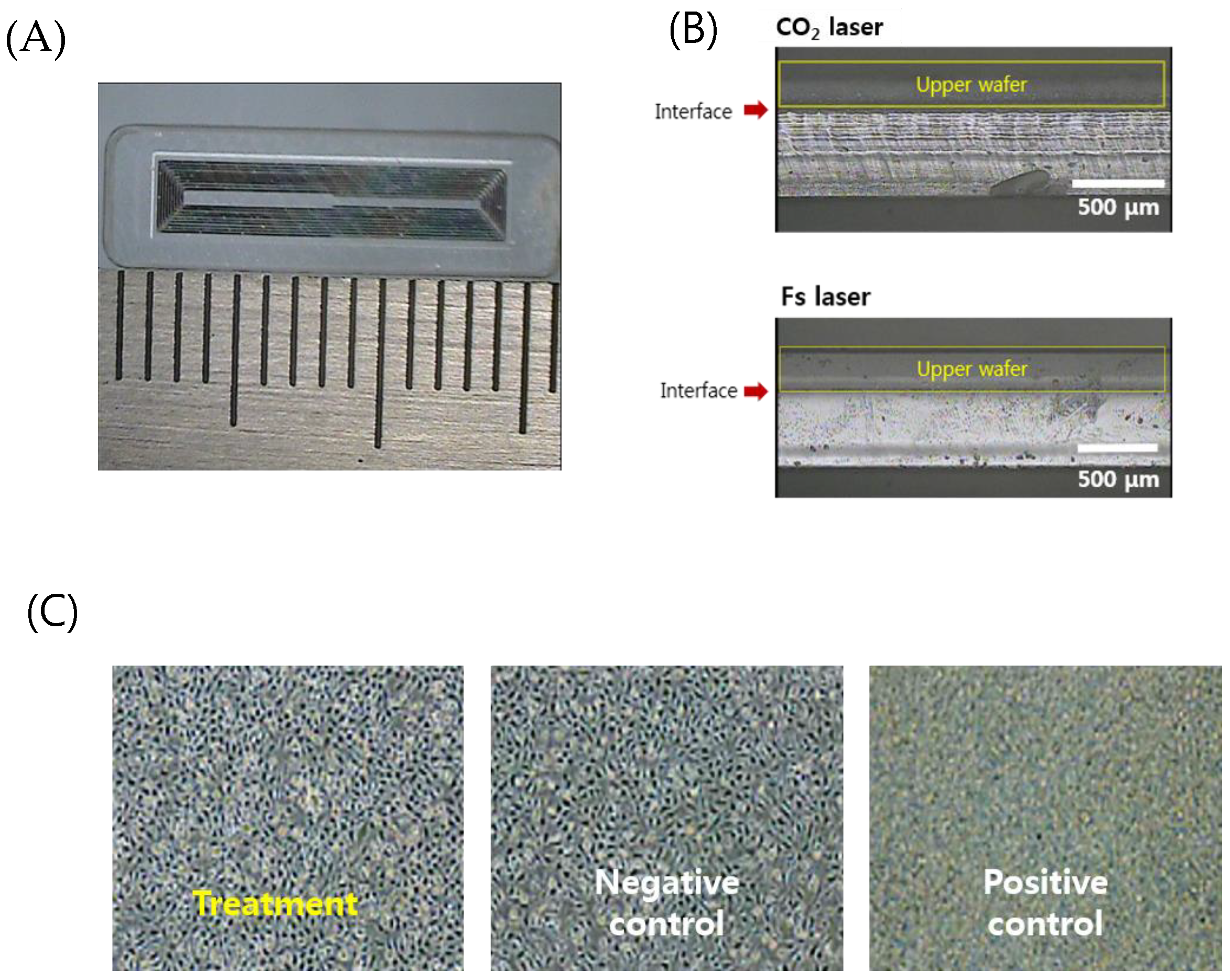 Sensors 19 01801 g007