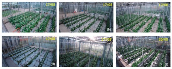 Sensors 19 01807 g0a1