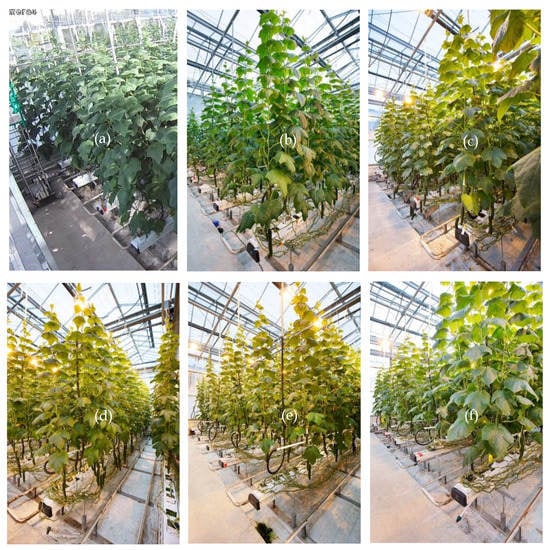 Sensors 19 01807 g0a2