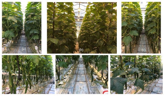 Sensors 19 01807 g0a3