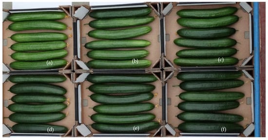 Sensors 19 01807 g0a4