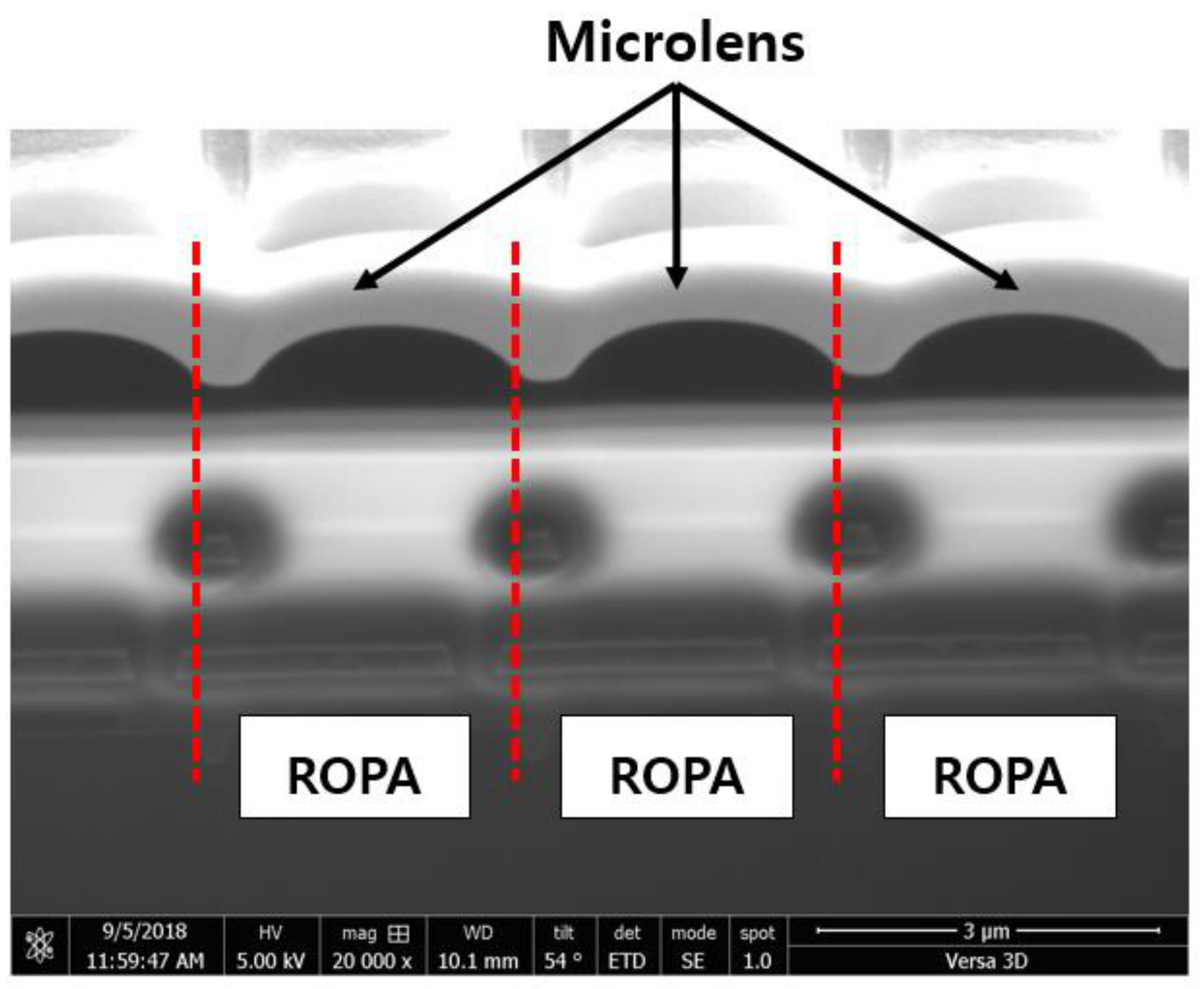 Sensors 19 01823 g008