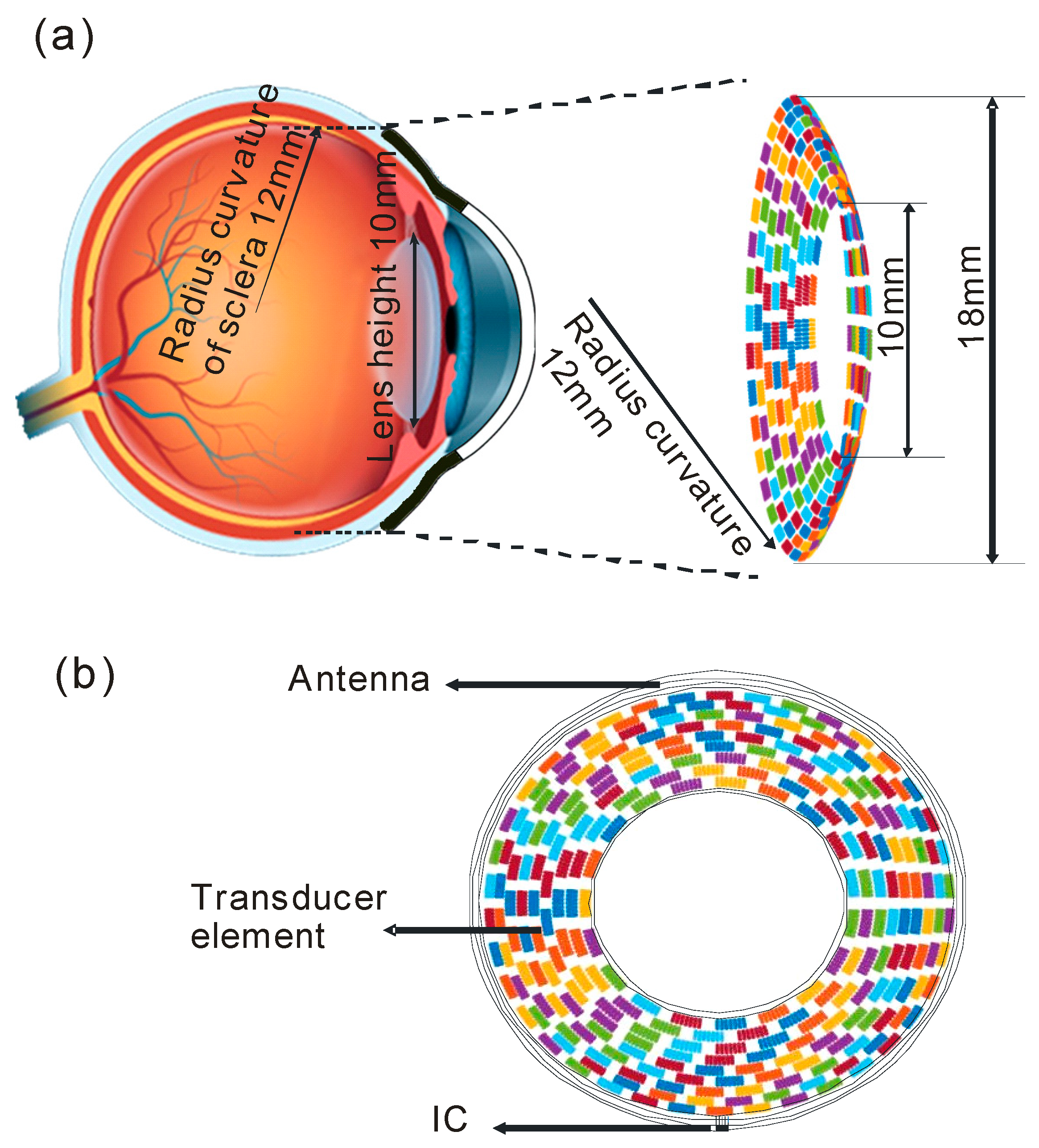 Sensors 19 01825 g001 Sensors 19 01825 g001