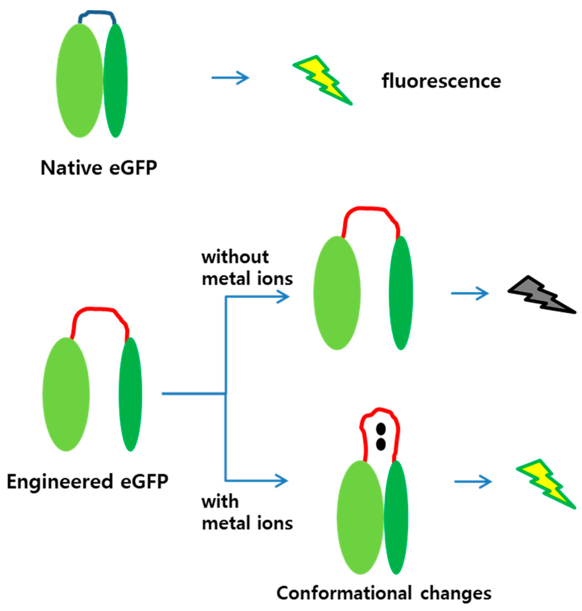 Sensors 19 01846 g001