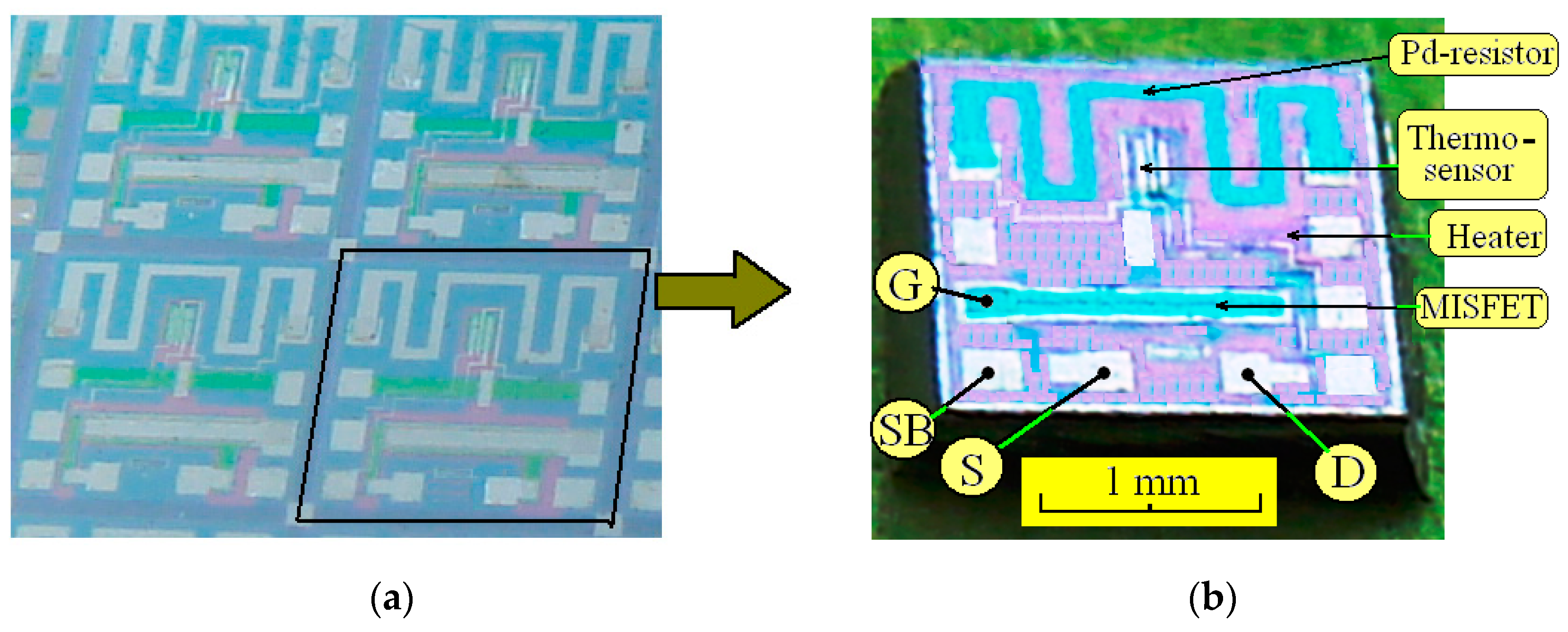 Sensors 19 01855 g001