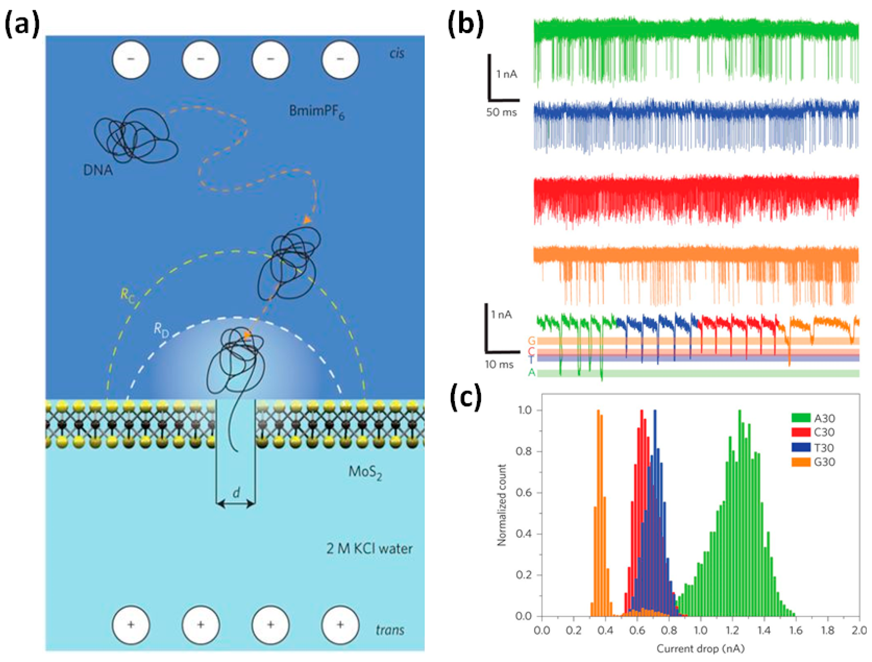 Sensors 19 01886 g011 Sensors 19 01886 g011
