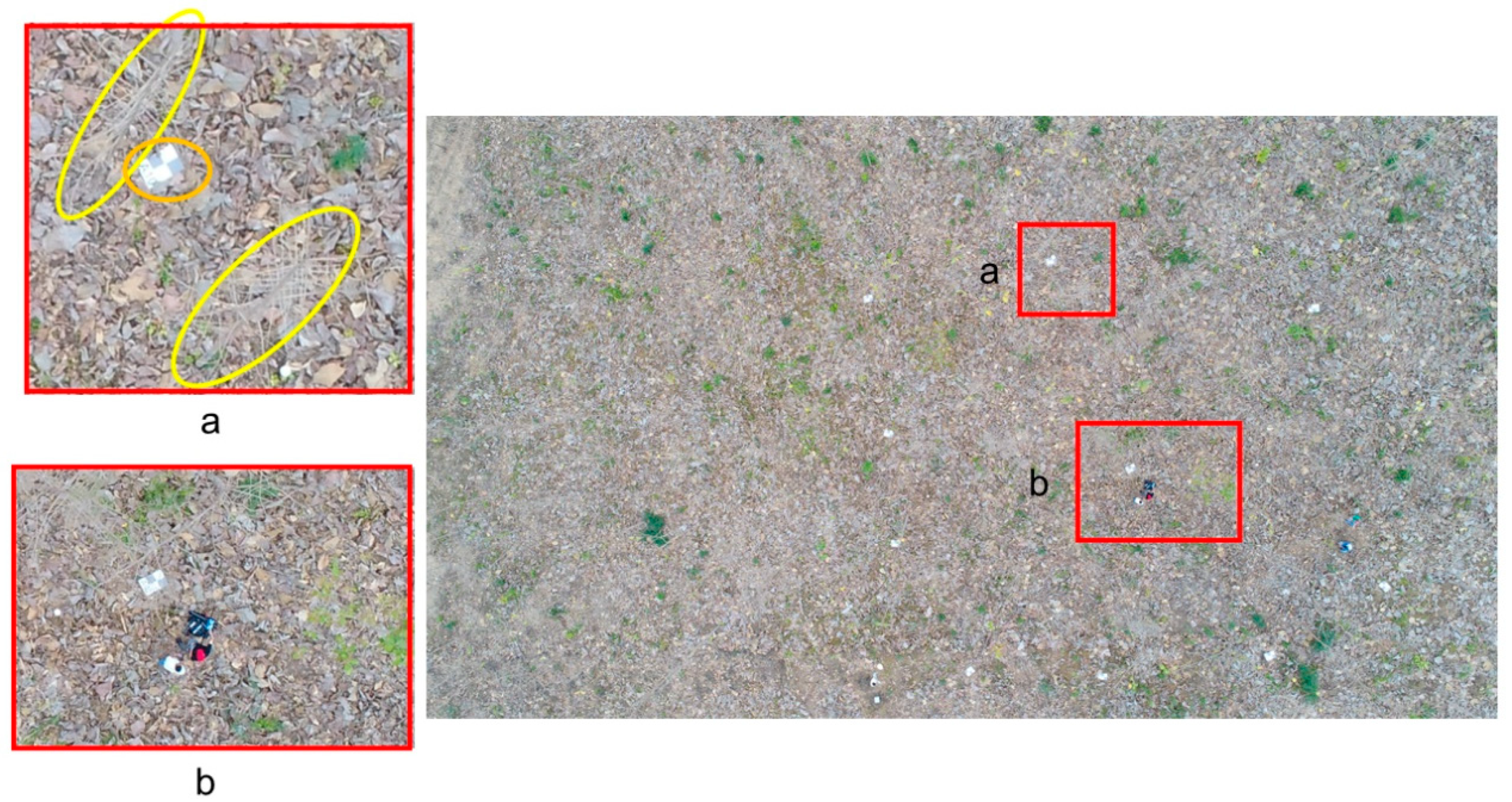 Sensors 19 01934 g004