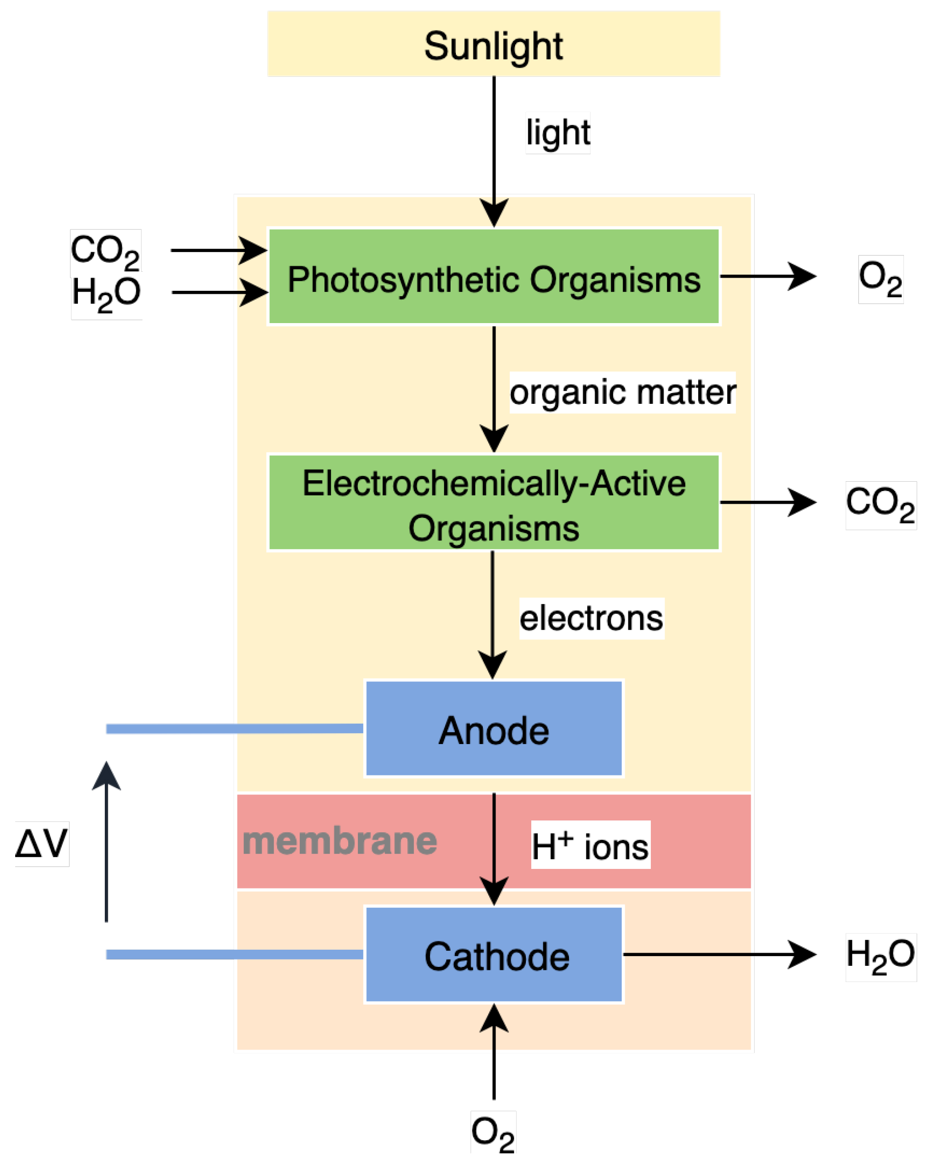 Sensors 19 01940 g004