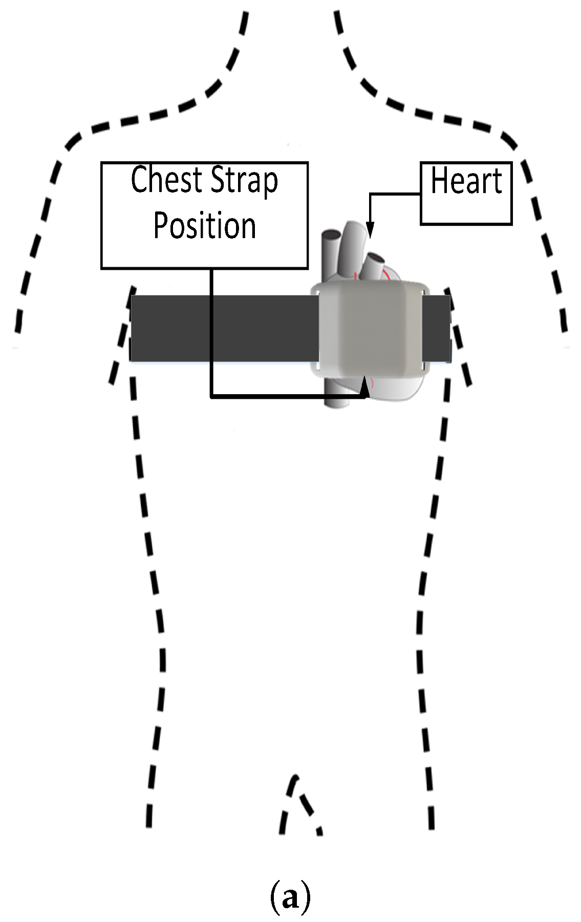 Sensors 19 01953 g004a