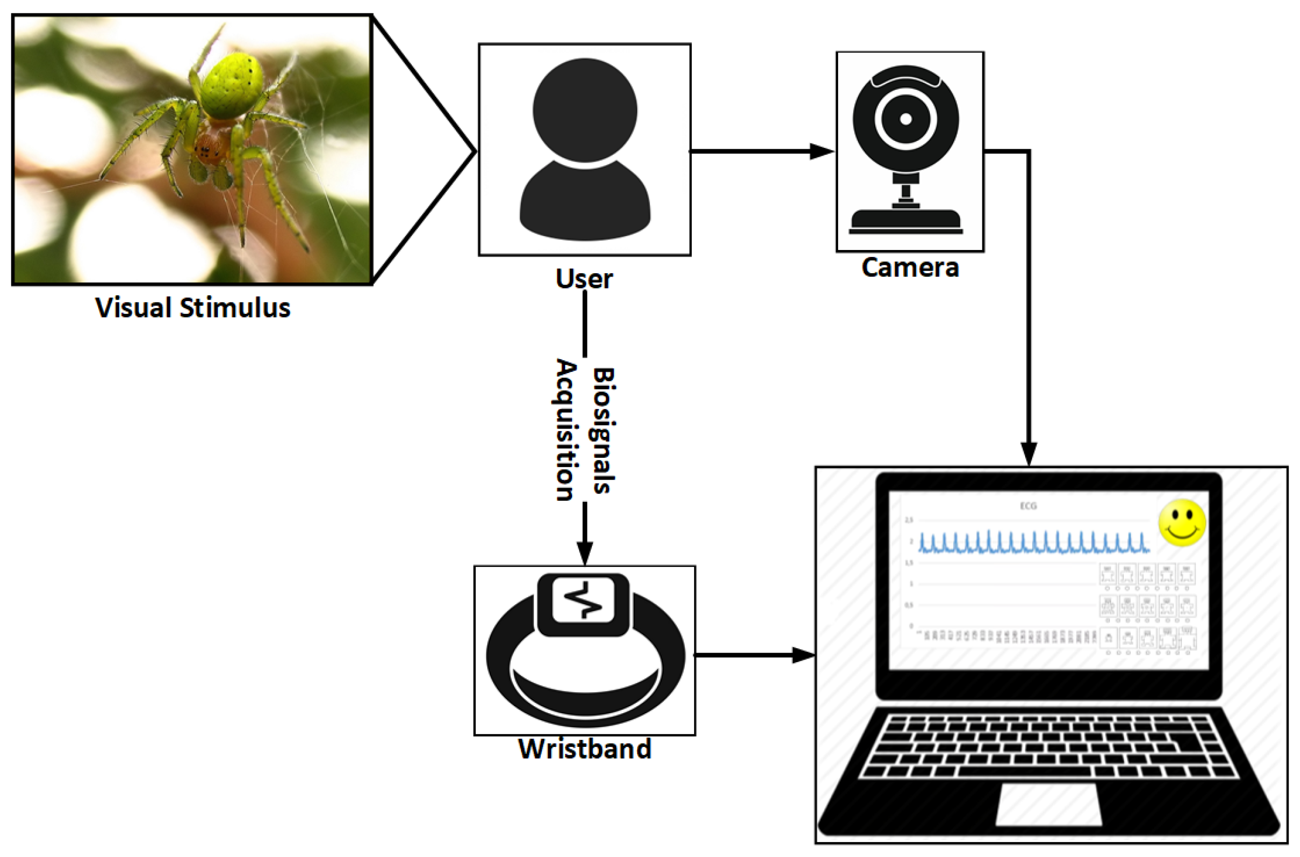 Sensors 19 01953 g006