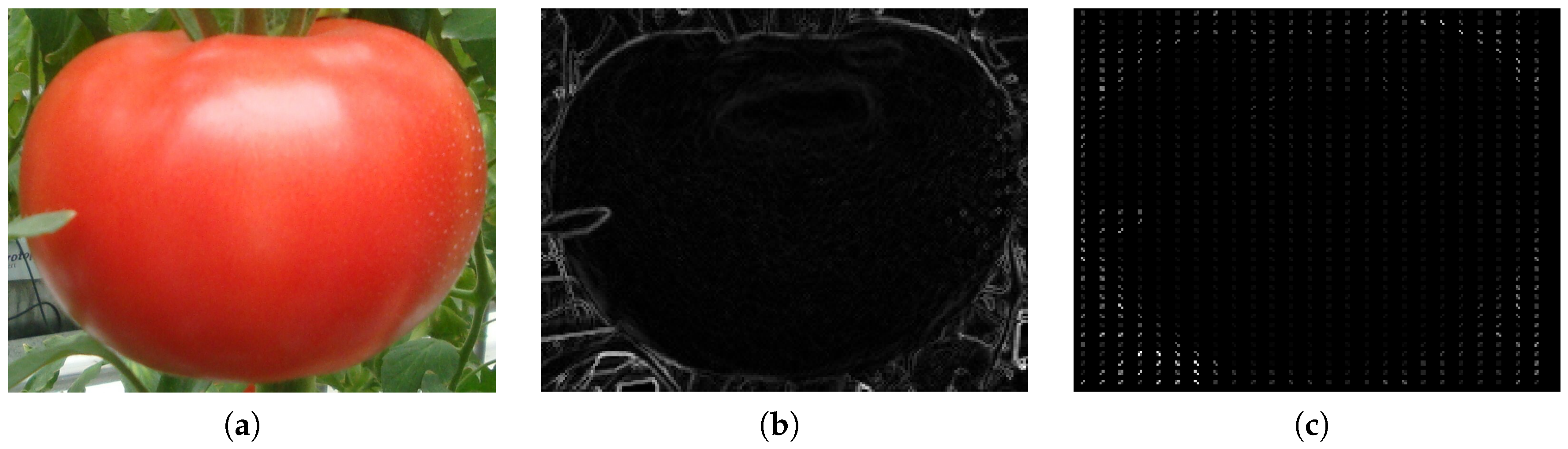 Sensors 19 02023 g001 Sensors 19 02023 g001