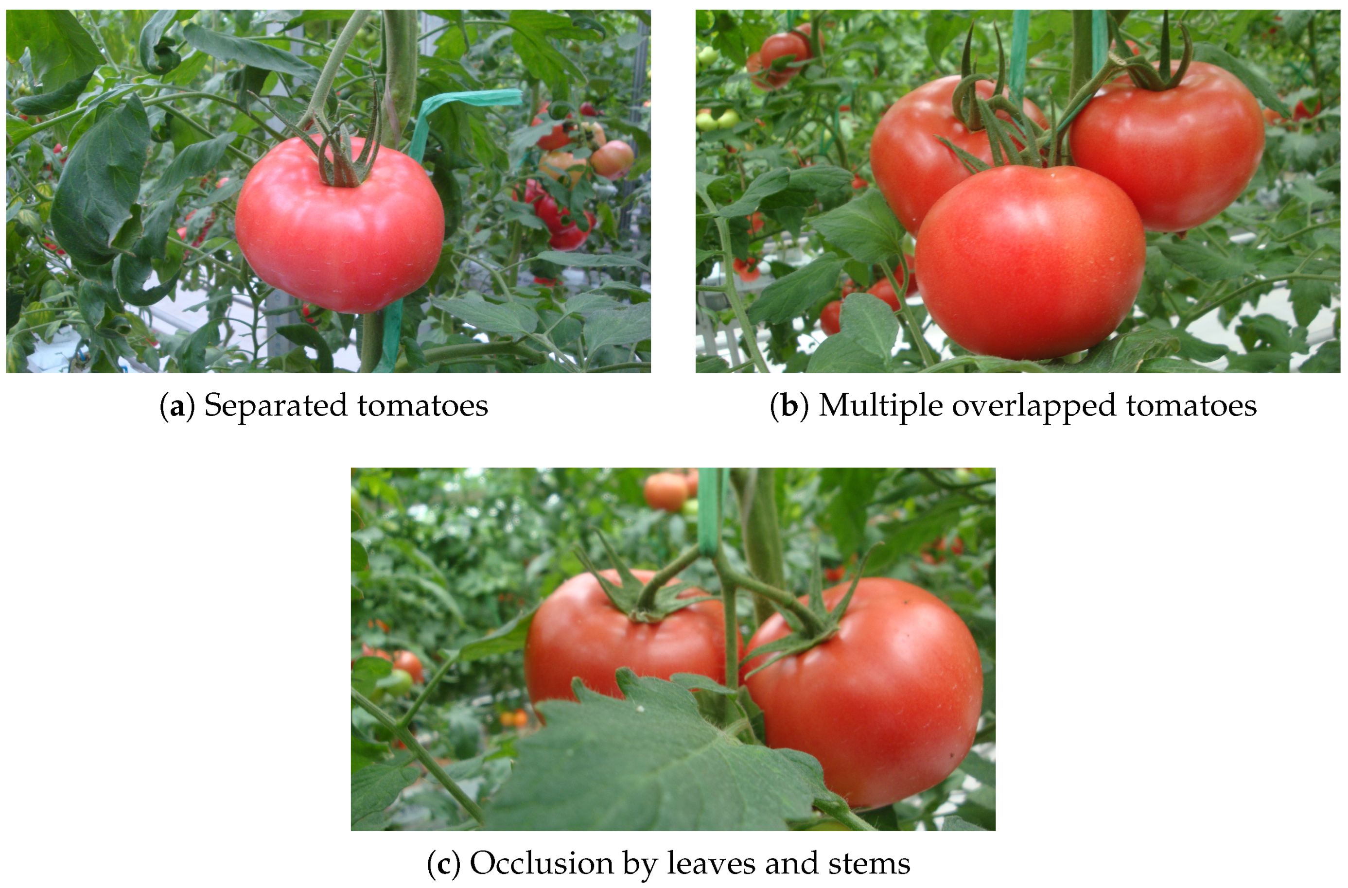 Sensors 19 02023 g003 Sensors 19 02023 g003