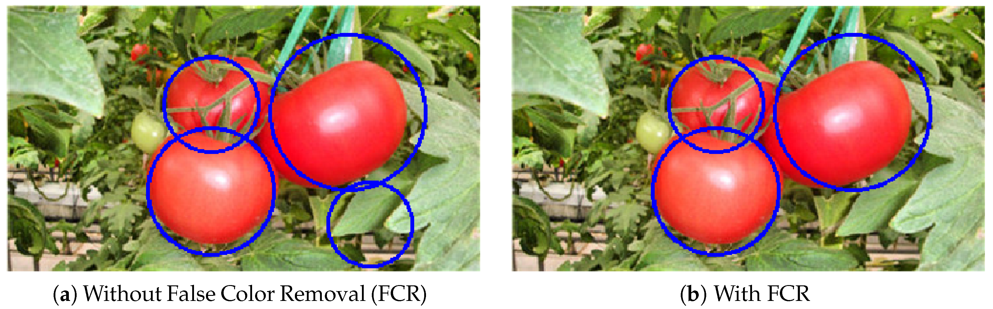 Sensors 19 02023 g012 Sensors 19 02023 g012