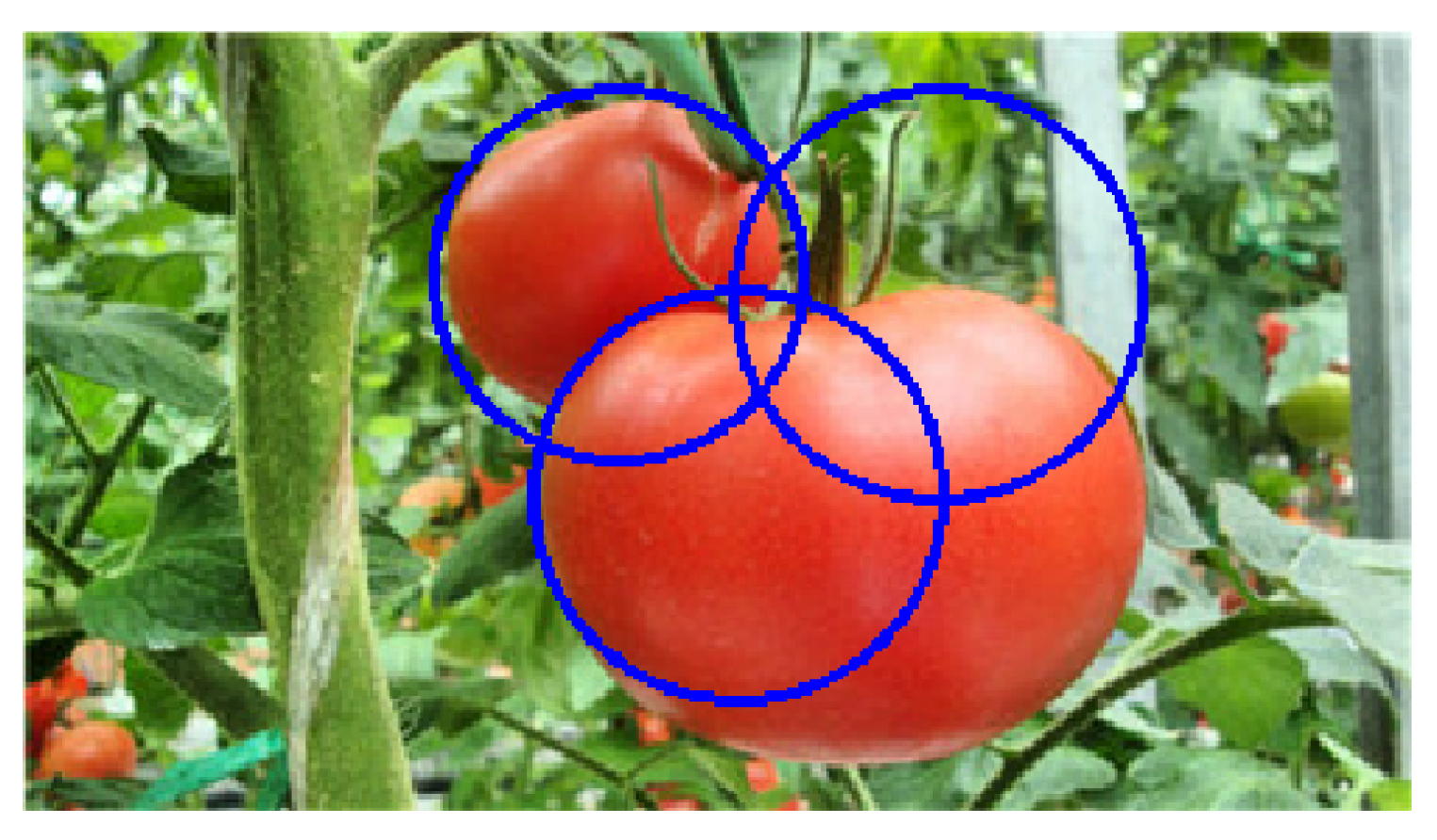 Sensors 19 02023 g017 Sensors 19 02023 g017