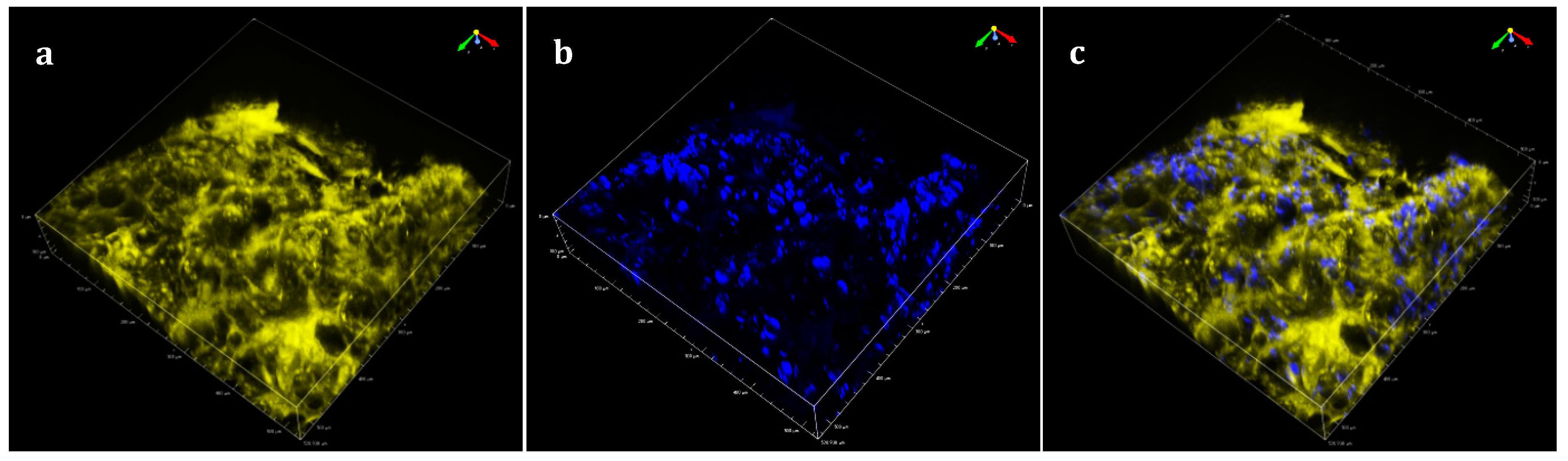 Sensors 19 02024 g002