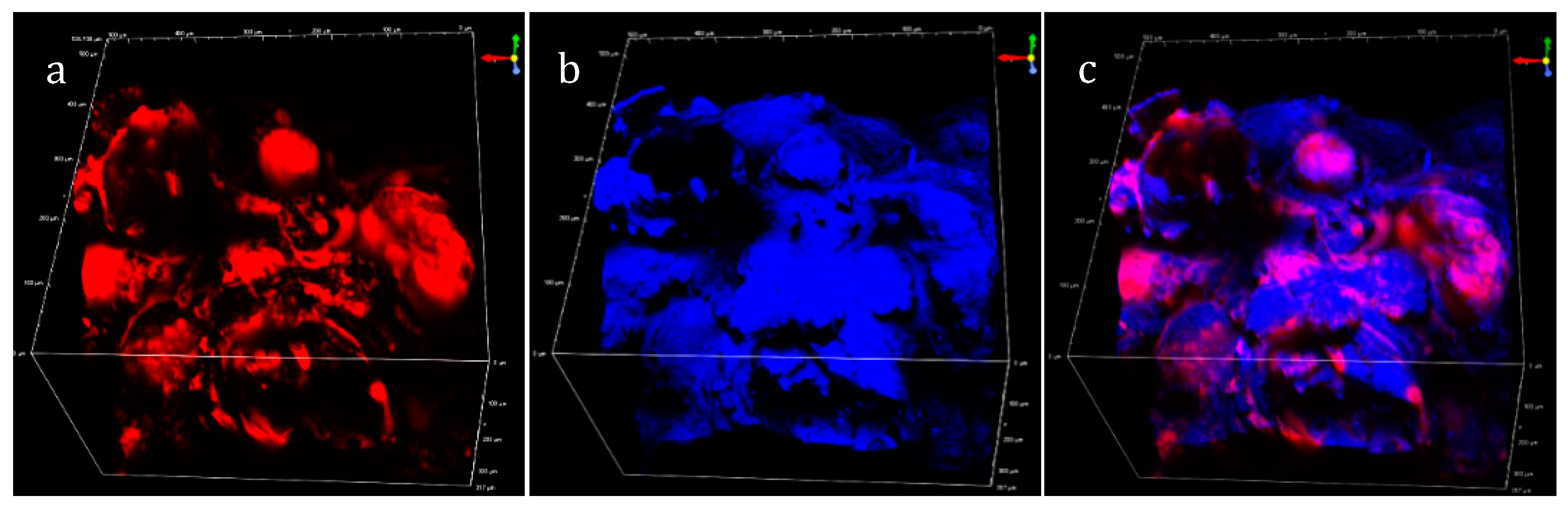 Sensors 19 02024 g004