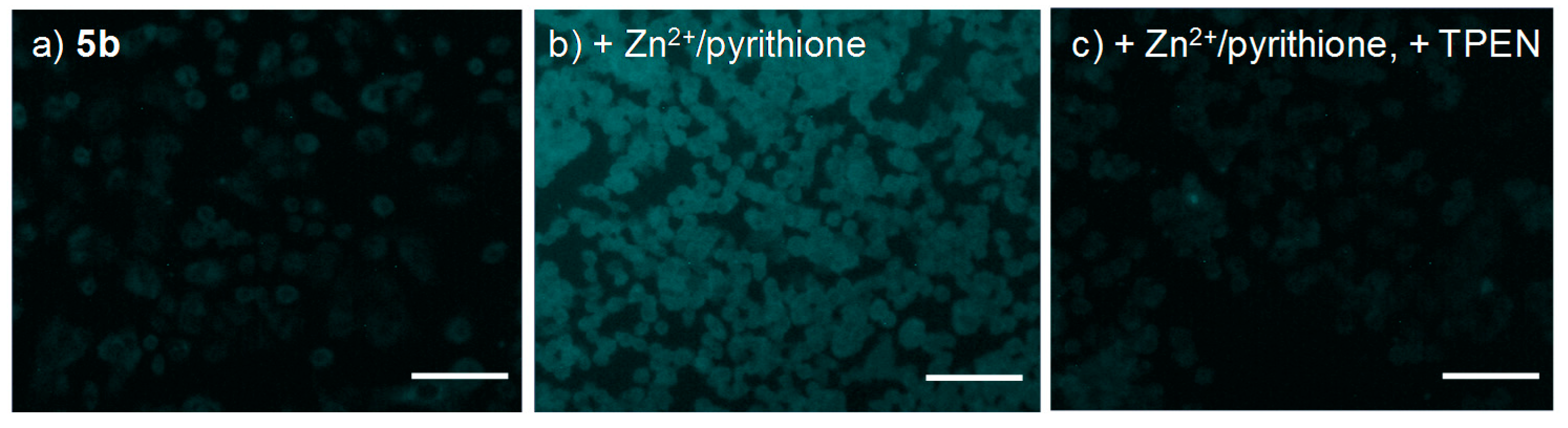 Sensors 19 02049 g006 Sensors 19 02049 g006