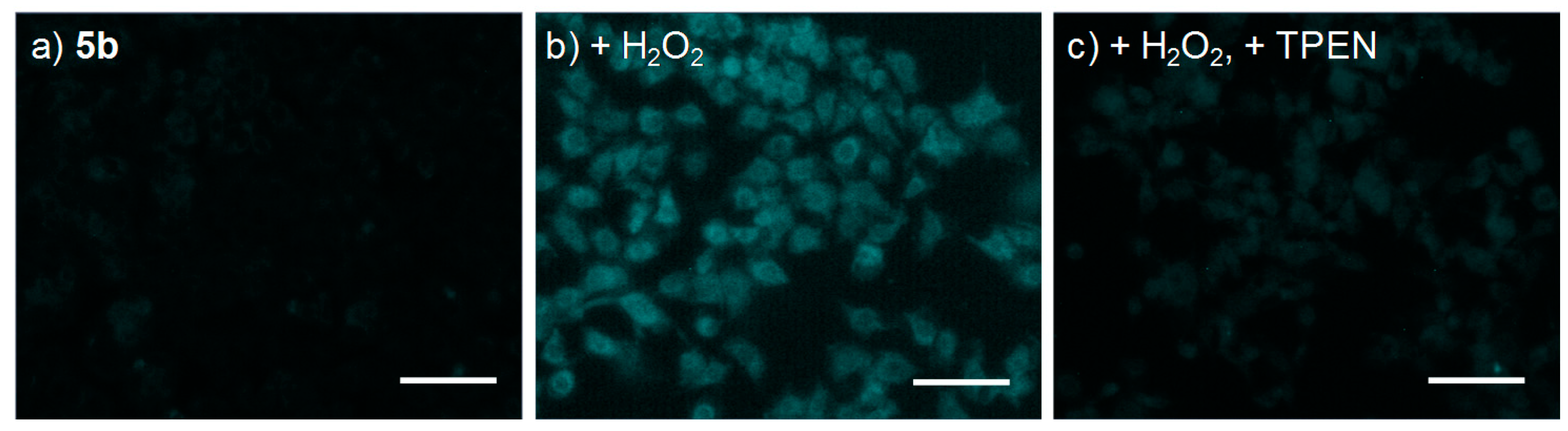 Sensors 19 02049 g007 Sensors 19 02049 g007