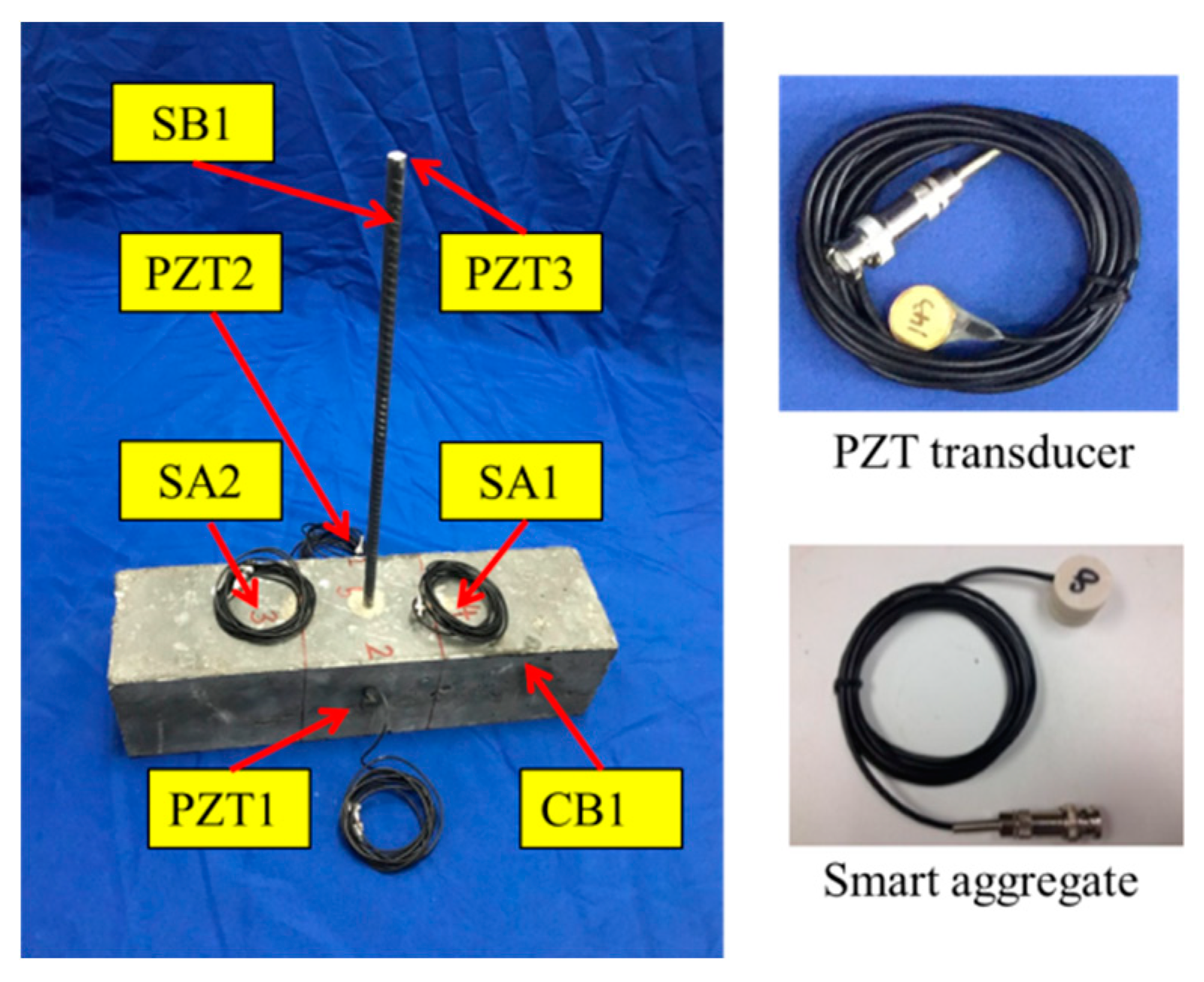 Sensors 19 02096 g004