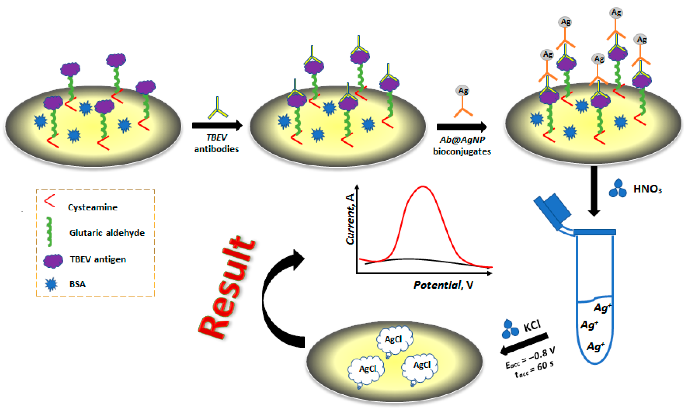 Sensors 19 02103 g001