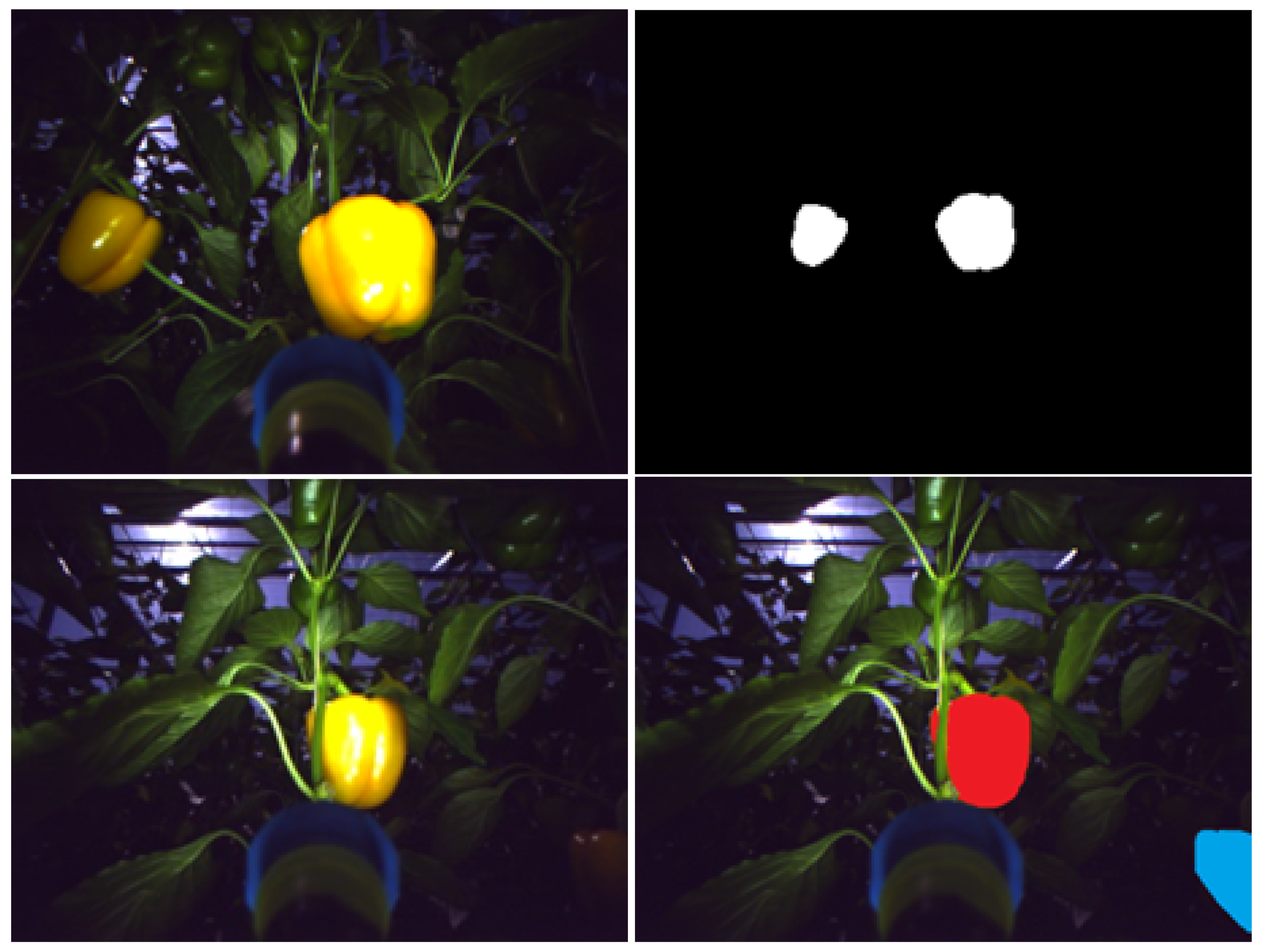 Sensors 19 02130 g003