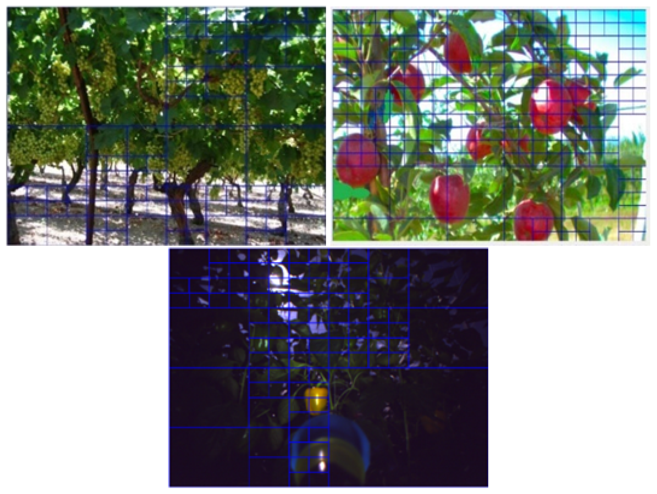 Sensors 19 02130 g005