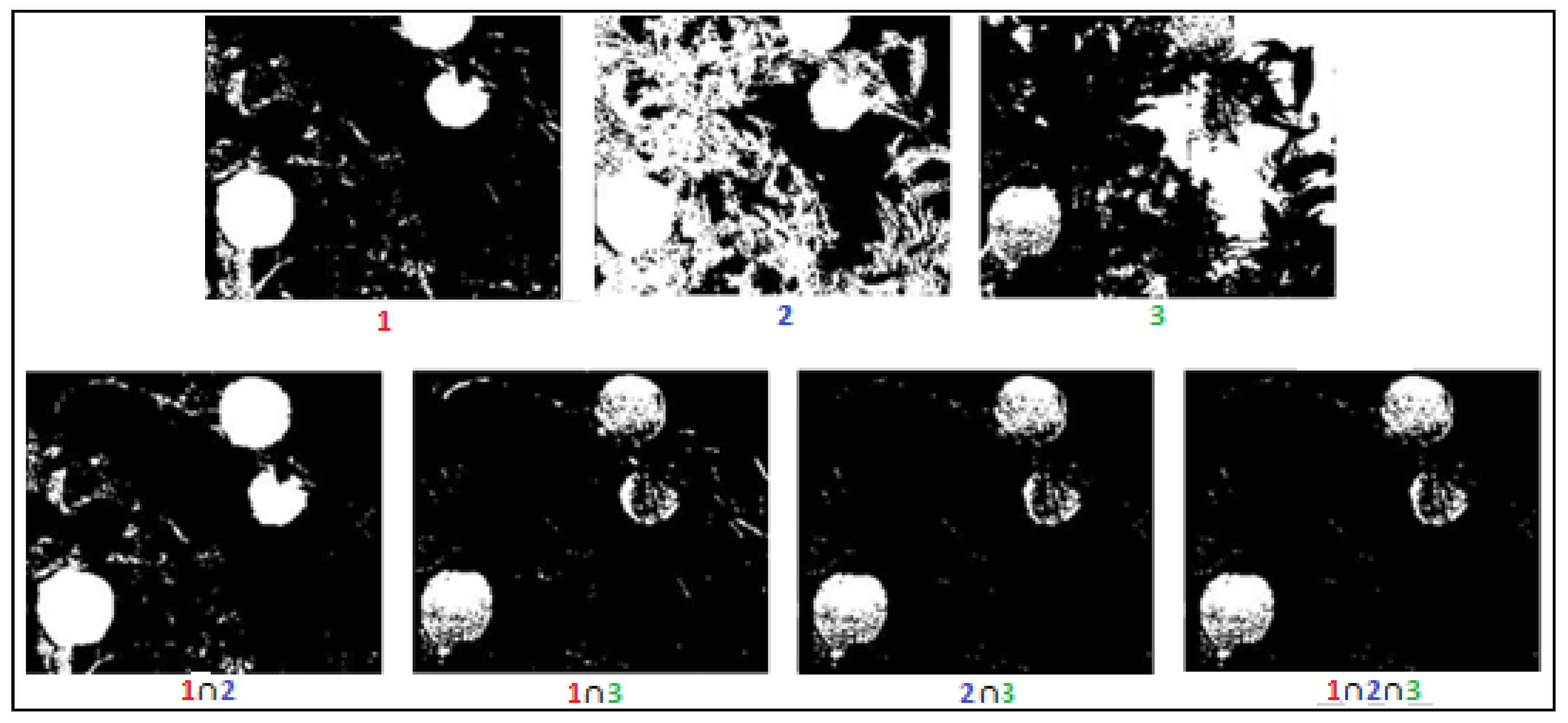 Sensors 19 02130 g007