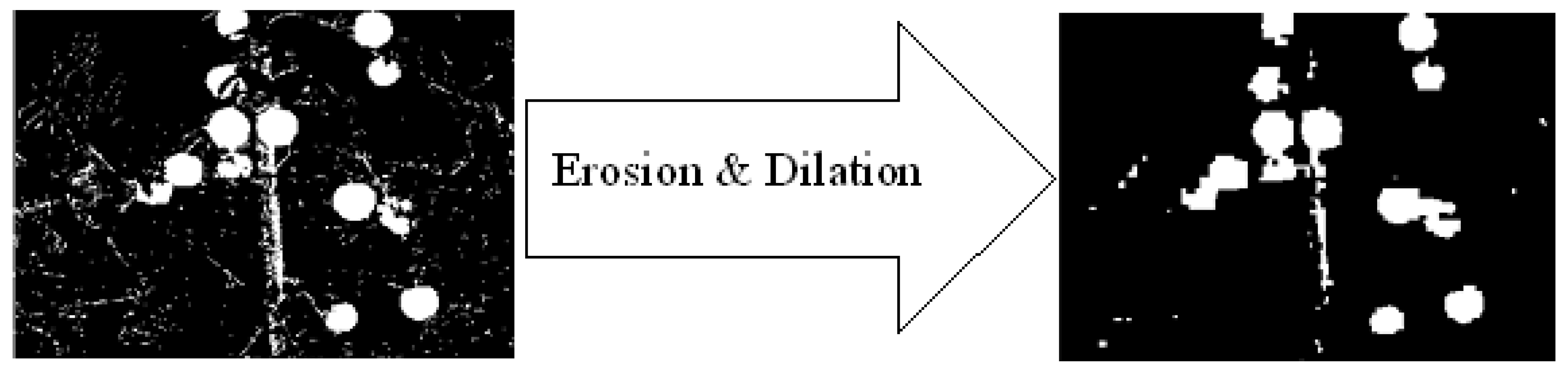 Sensors 19 02130 g008