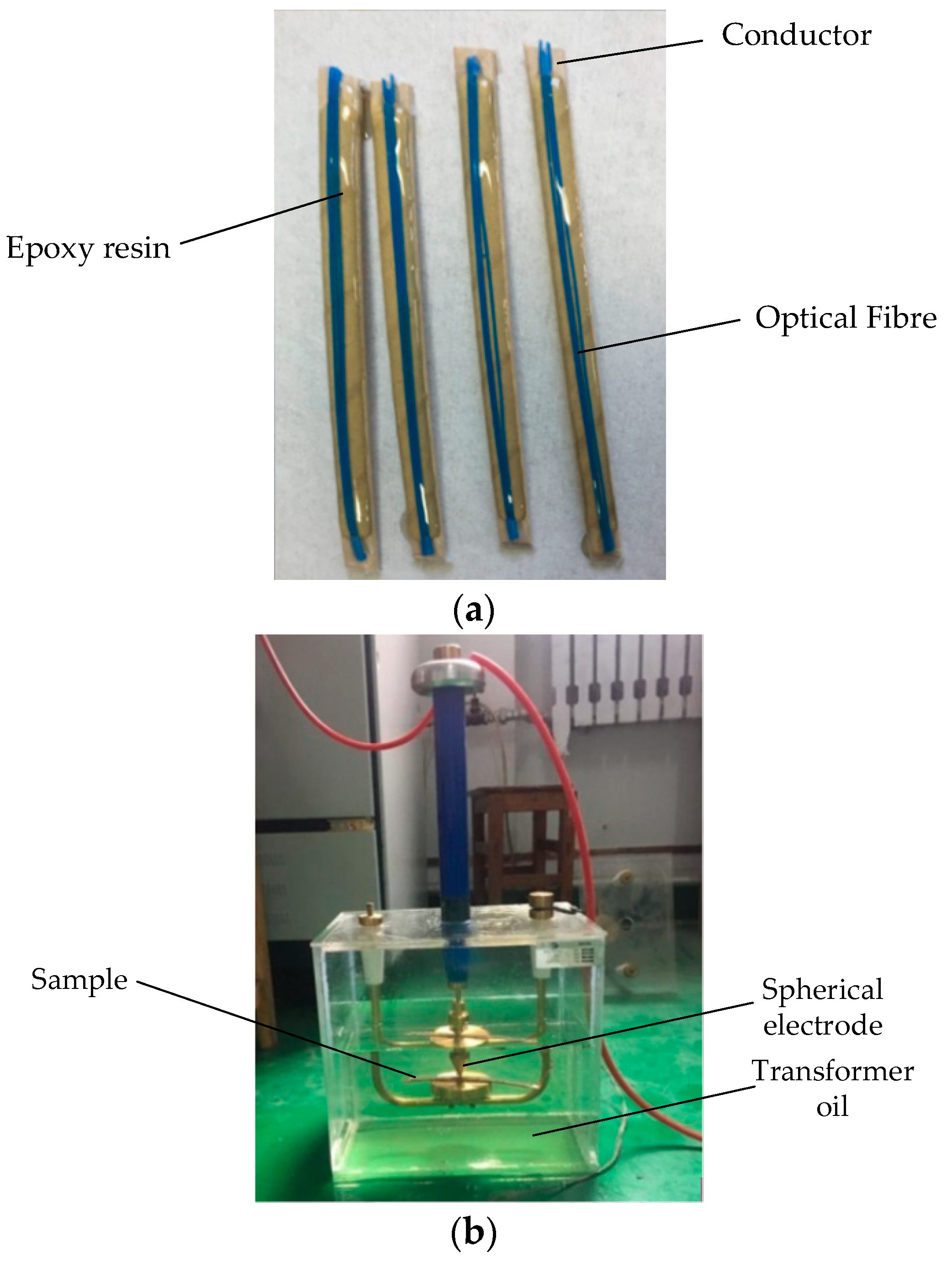 Sensors 19 02171 g008