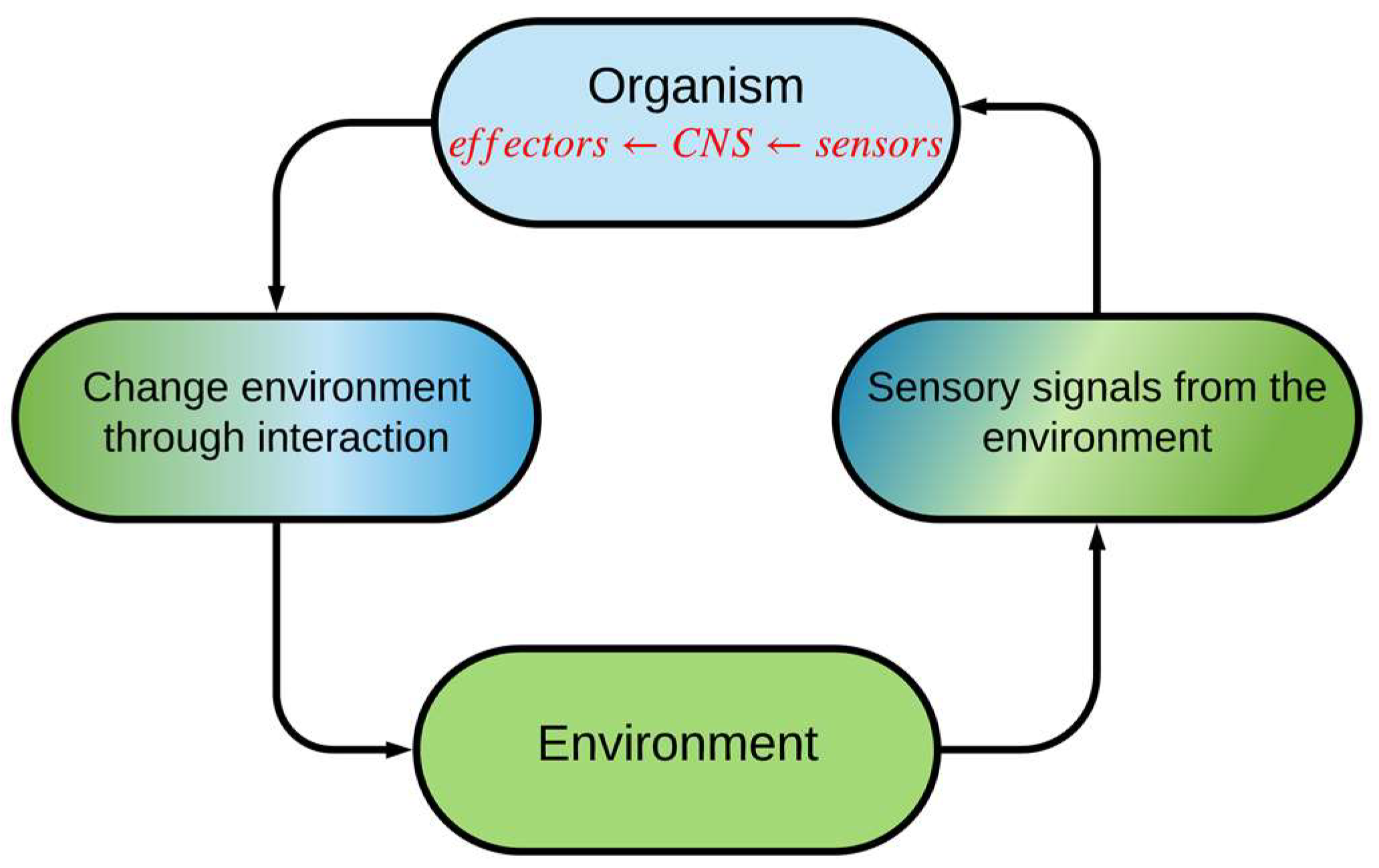 Sensors 19 02175 g001