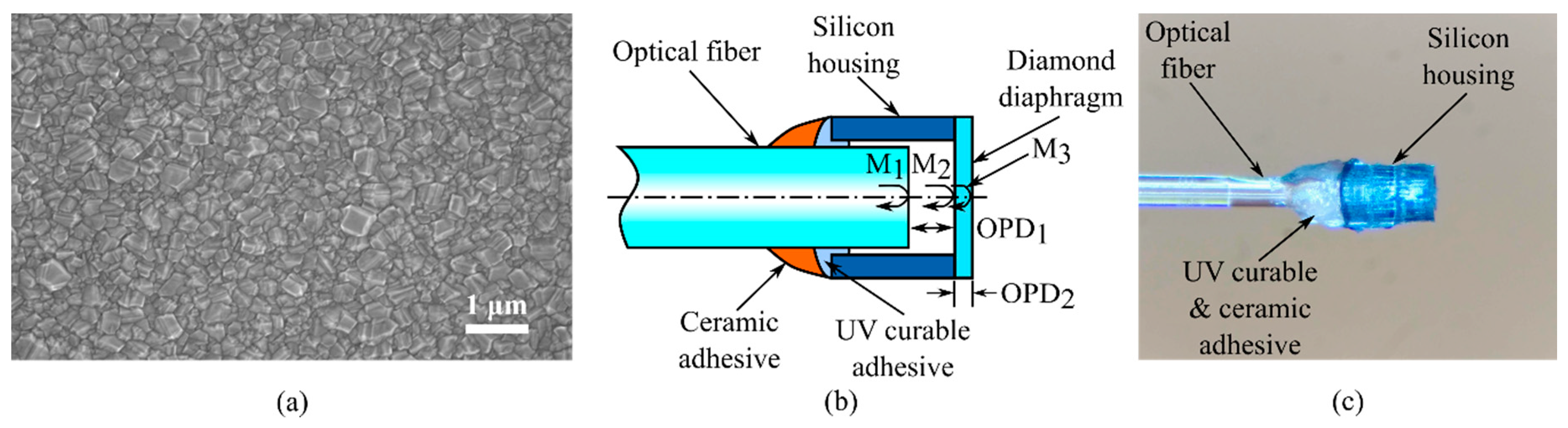Sensors 19 02202 g001