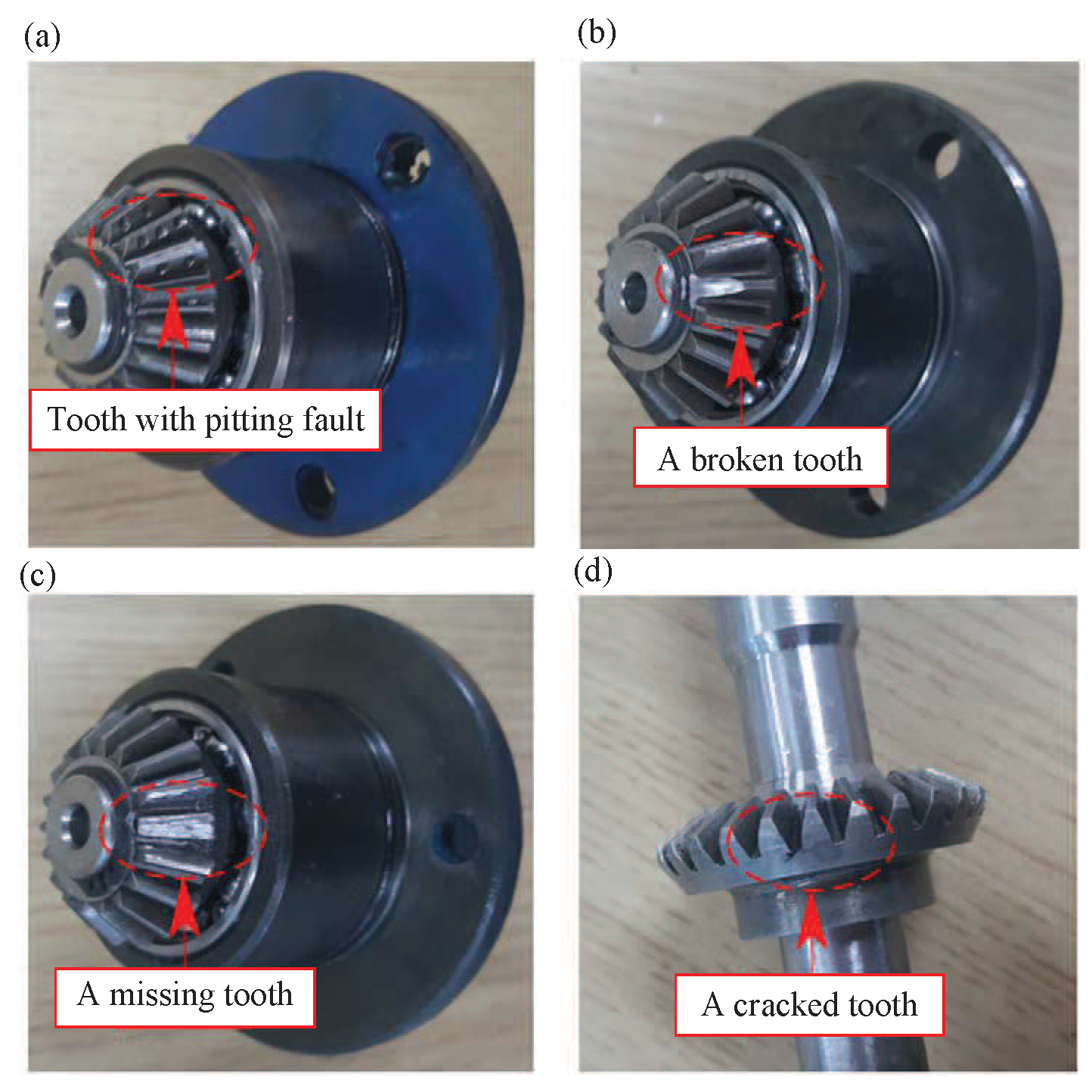 Sensors 19 02205 g005