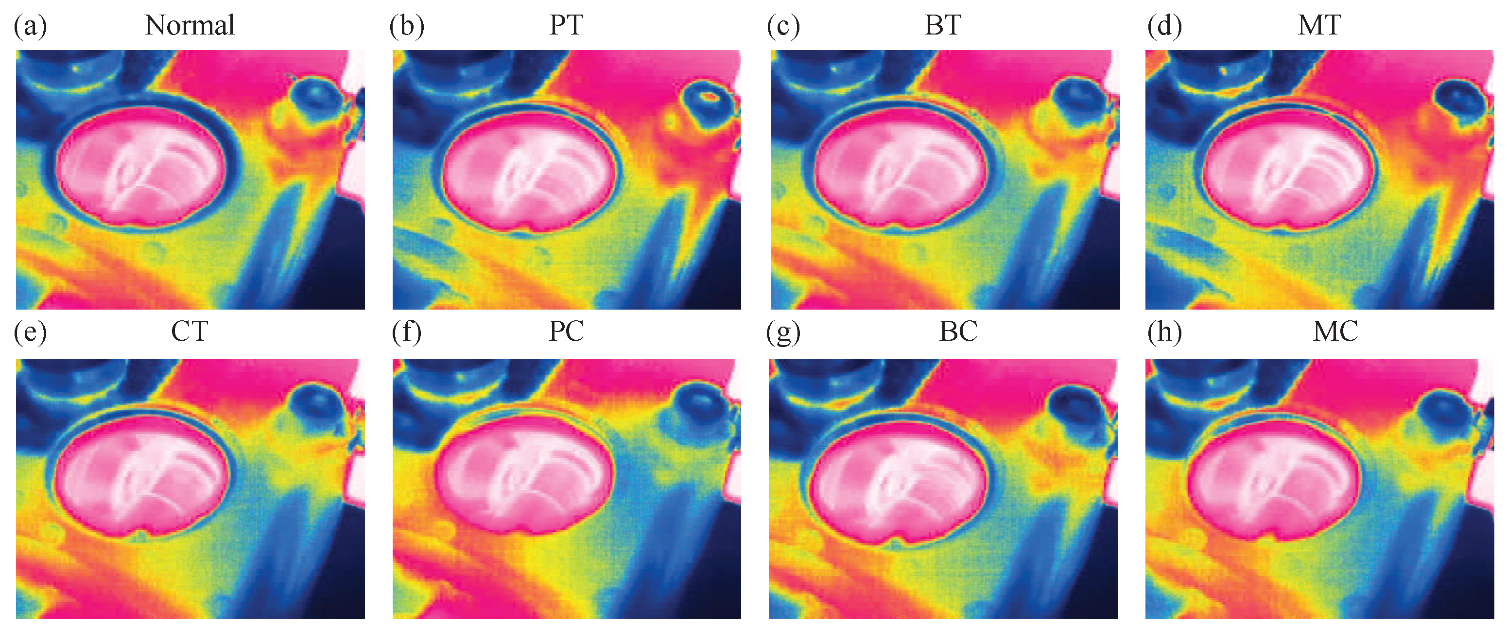 Sensors 19 02205 g007