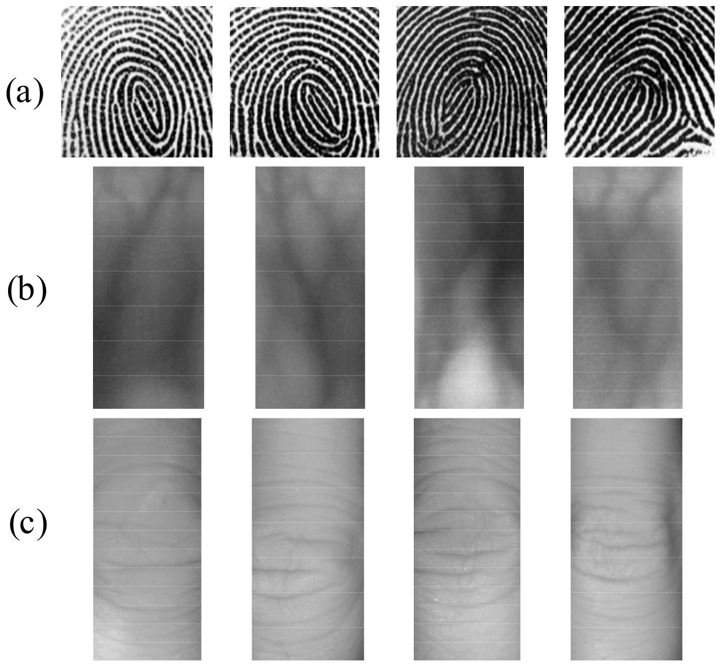 Sensors 19 02213 g005