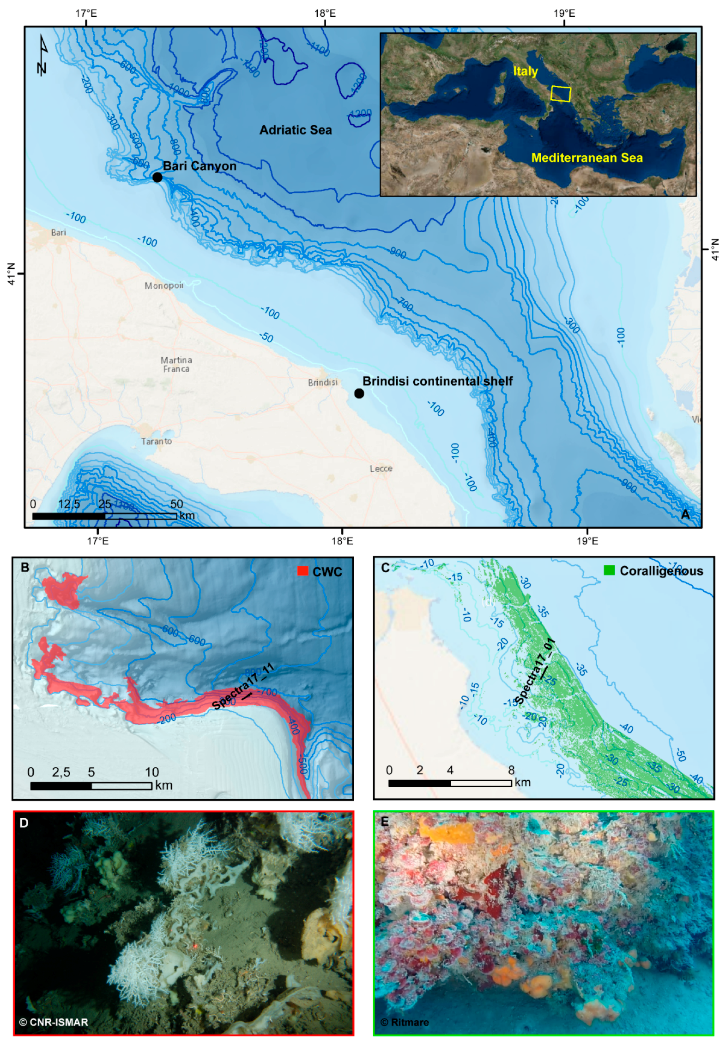 Sensors 19 02261 g001