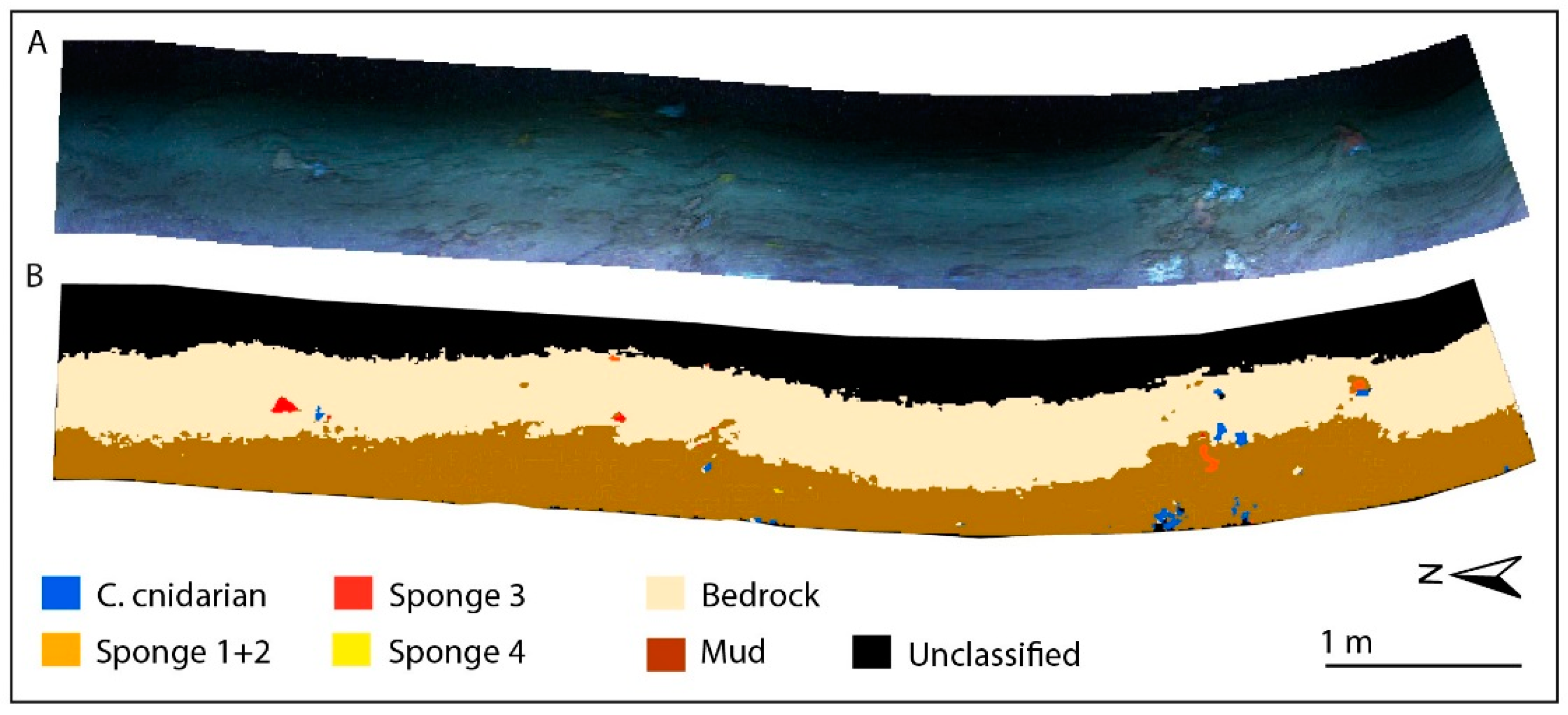 Sensors 19 02261 g004