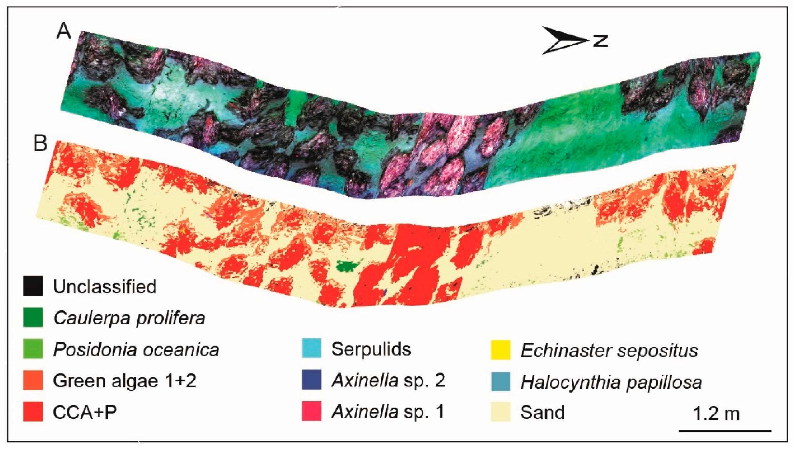 Sensors 19 02261 g005